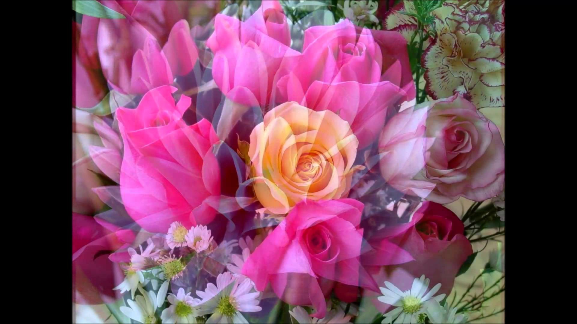 Rose, Mazzo di fiori, Rosa, Collage, Full HD 1080p, sfondo desktop