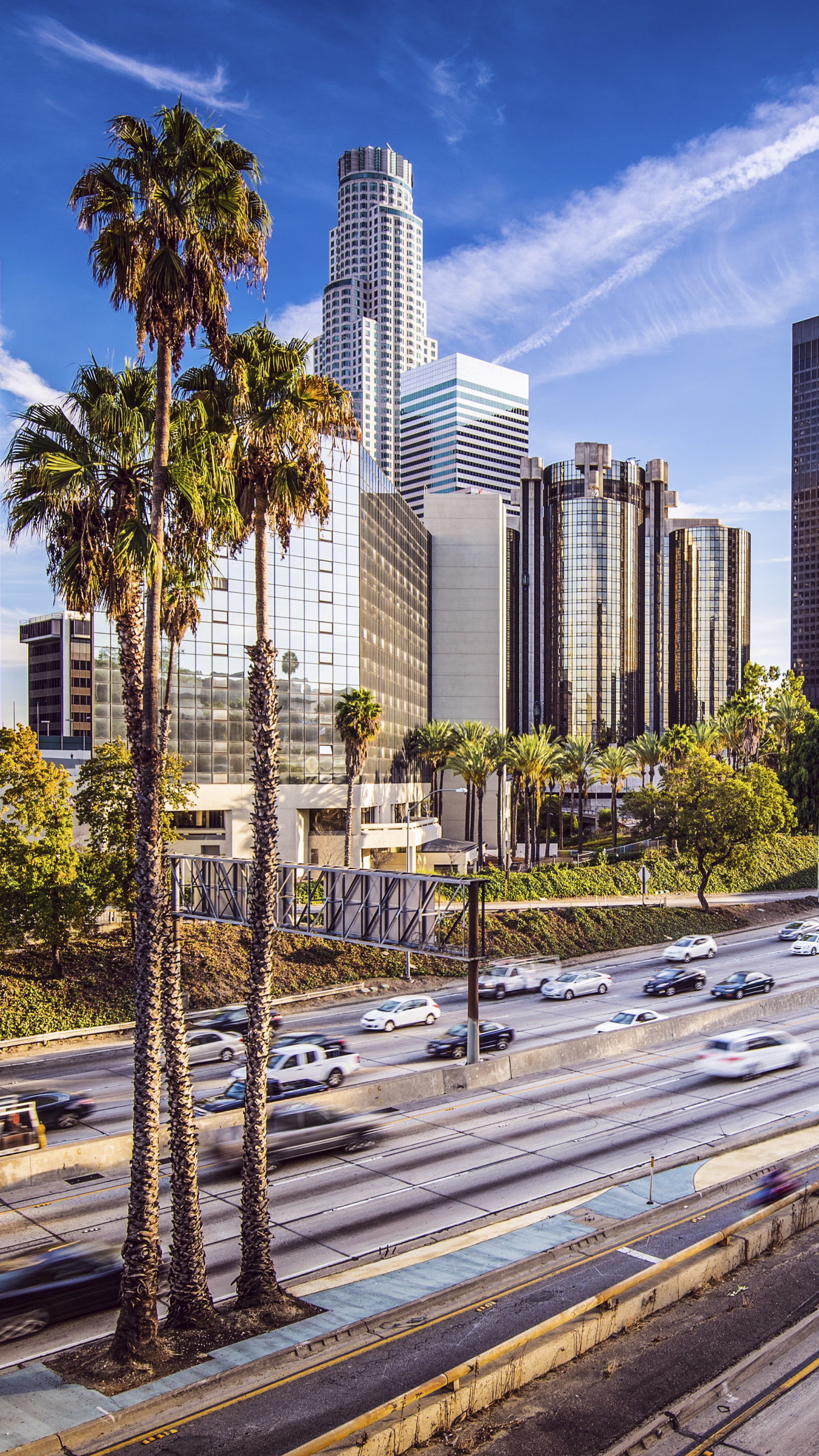Downtown Los Angeles, U.S. Bank Tower, Palme, Autostrada, Grattacieli, sfondo per iPhone