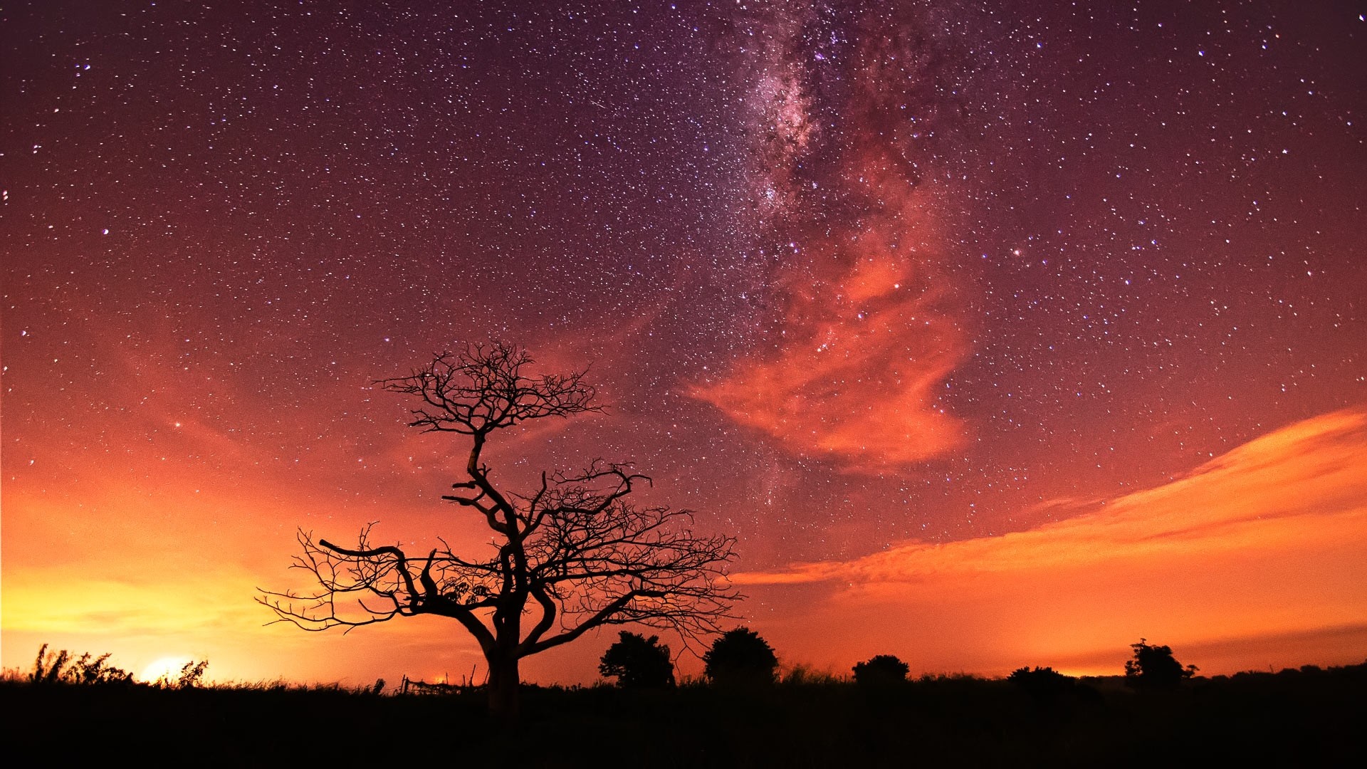 Albero, Silhouette, Via Lattea, Cielo rosso, Full HD, immagine di sfondo Windows 10