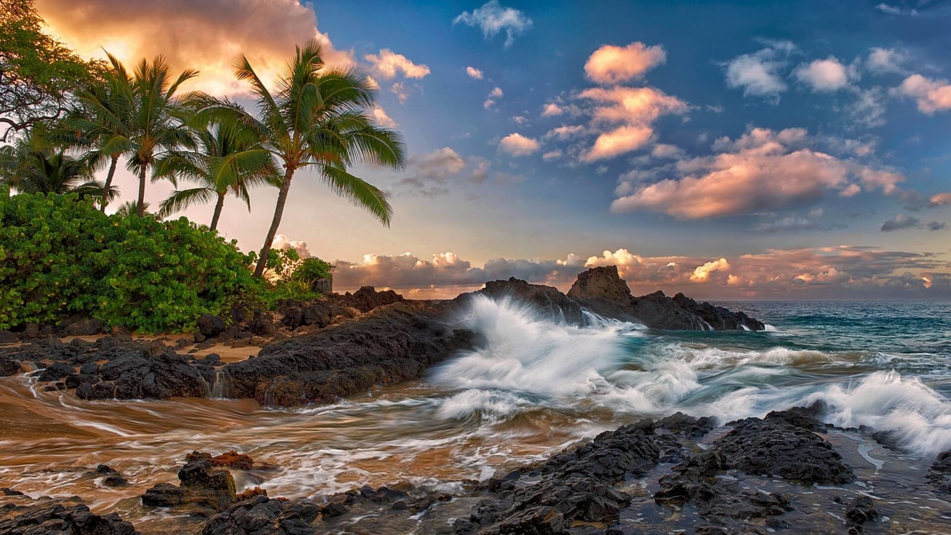 Maui, Hawaii, Scogliera lavica, Onde, Palme, Full HD, sfondo per PC e portatile