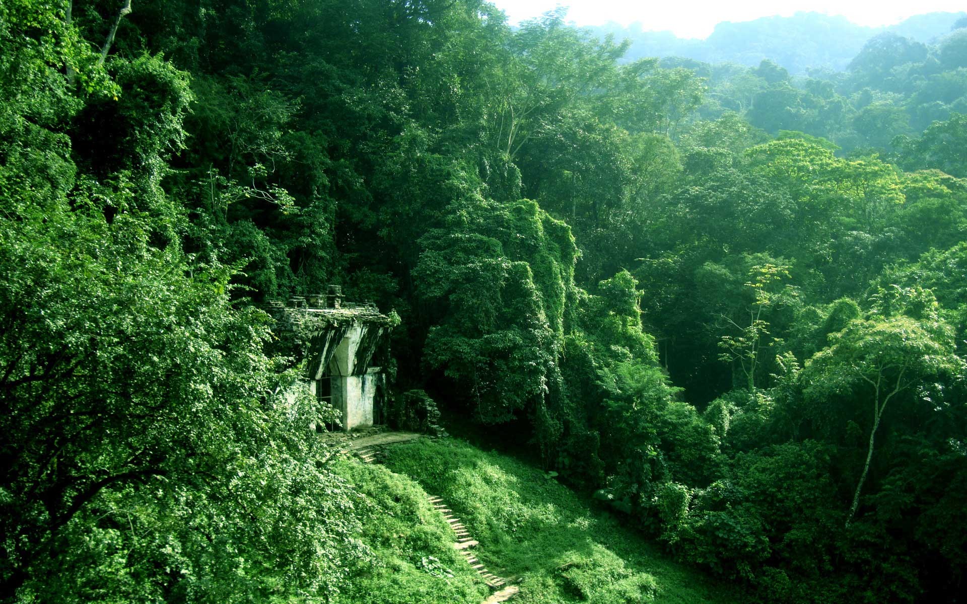 Giungla, Rovine, Foresta, Colline, 1920x1200, sfondo MacBook Pro