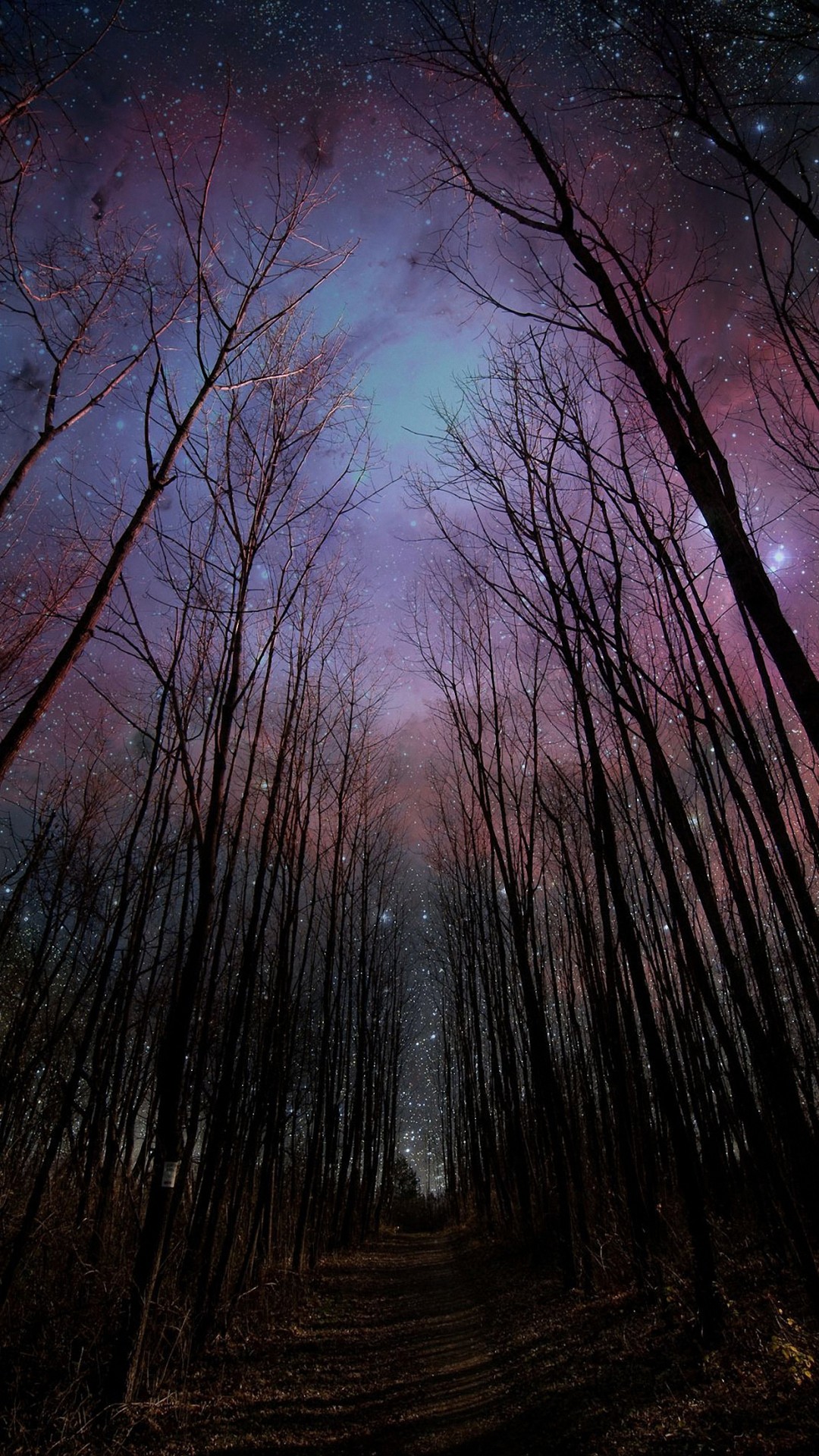 Foresta, Cielo stellato, Alberi, Notte, Full HD, sfondo iPhone 6