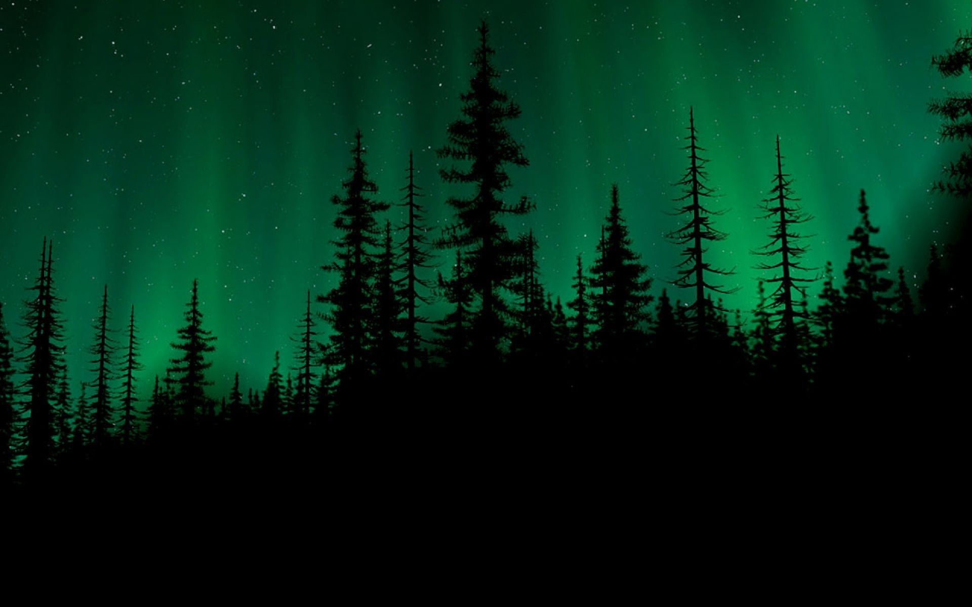 Aurora boreale, Foresta di abeti, Silhouette, Notte, 1920x1200, immagine di sfondo
