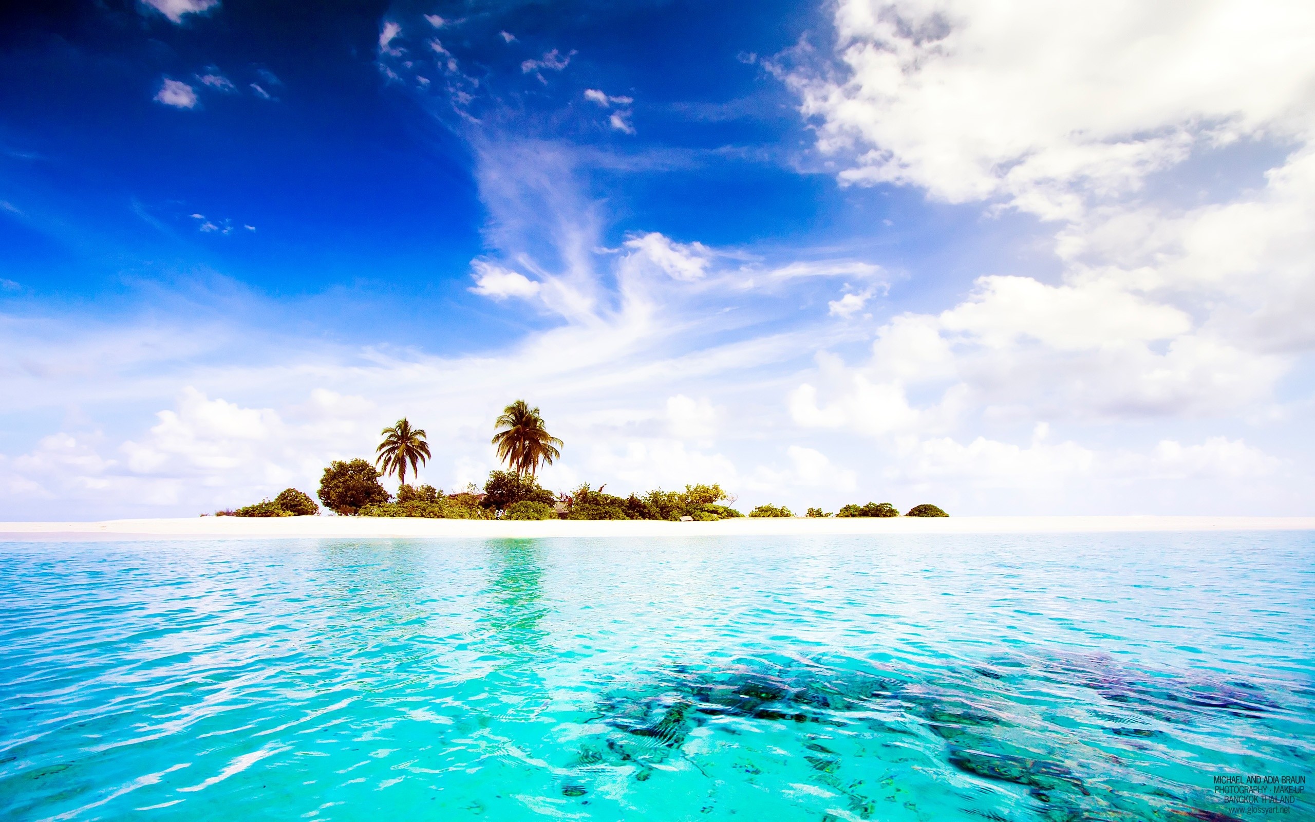 Isola tropicale, Palme, Acqua turchese, Cielo azzurro, 16:10 2K, sfondo widescreen
