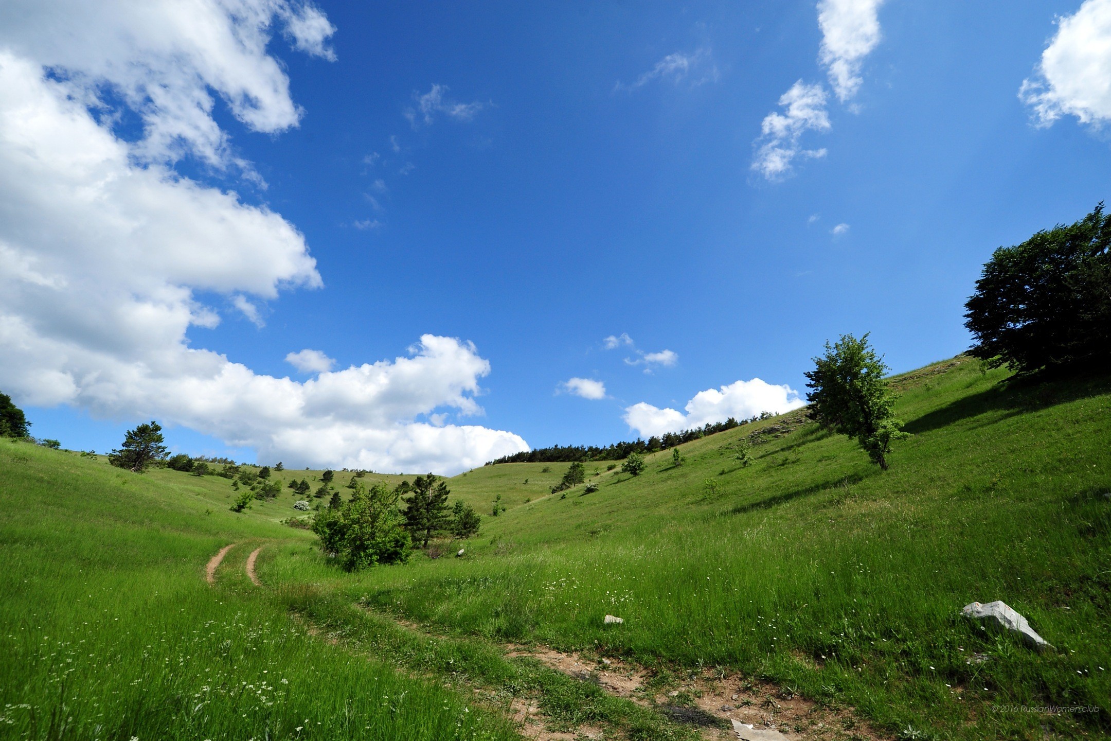 Collina, Prato verde, Nuvole, Cielo blu, Full HD, sfondo Windows 11