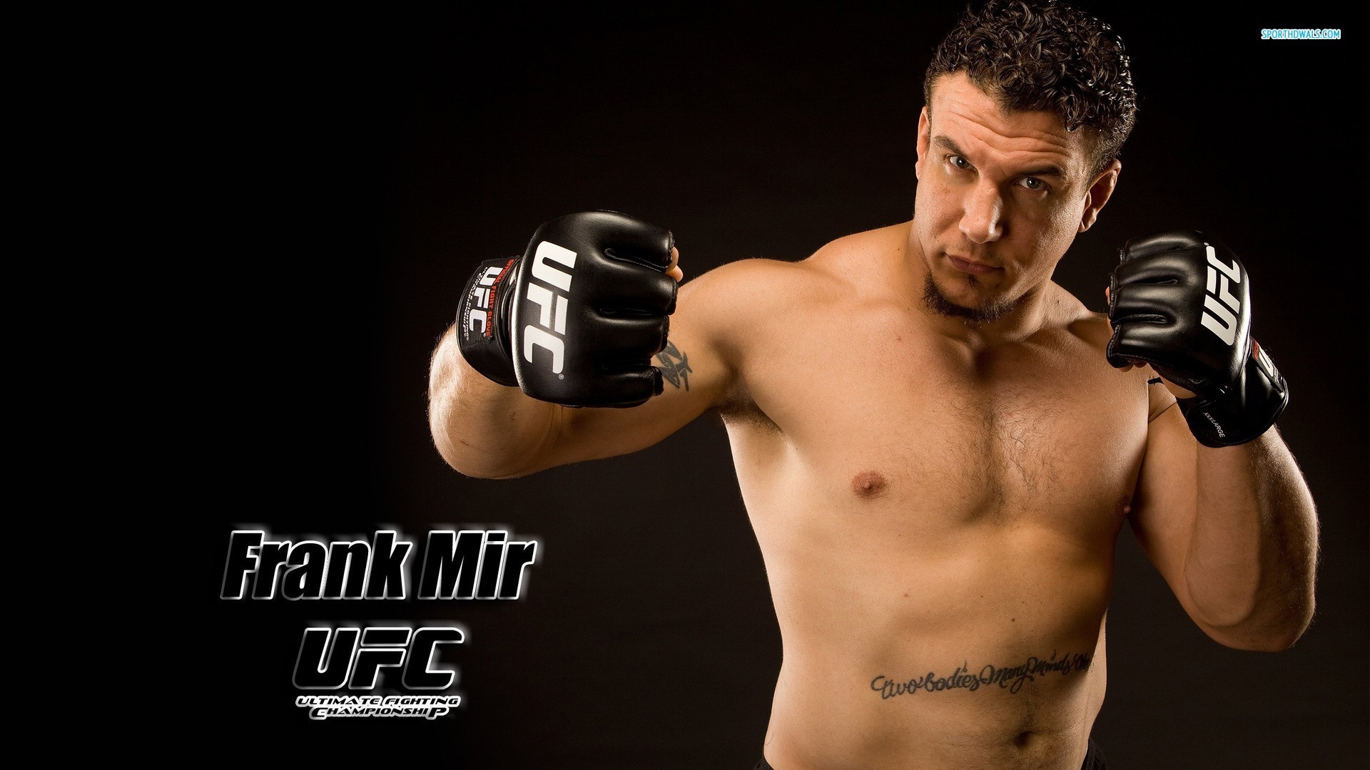 Frank Mir, UFC, Guantoni, MMA, 1920x1080, sfondo per PC