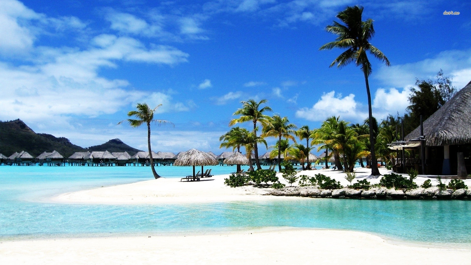 Bora Bora, Spiaggia bianca, Palme, Resort, Full HD, wallpaper per PC