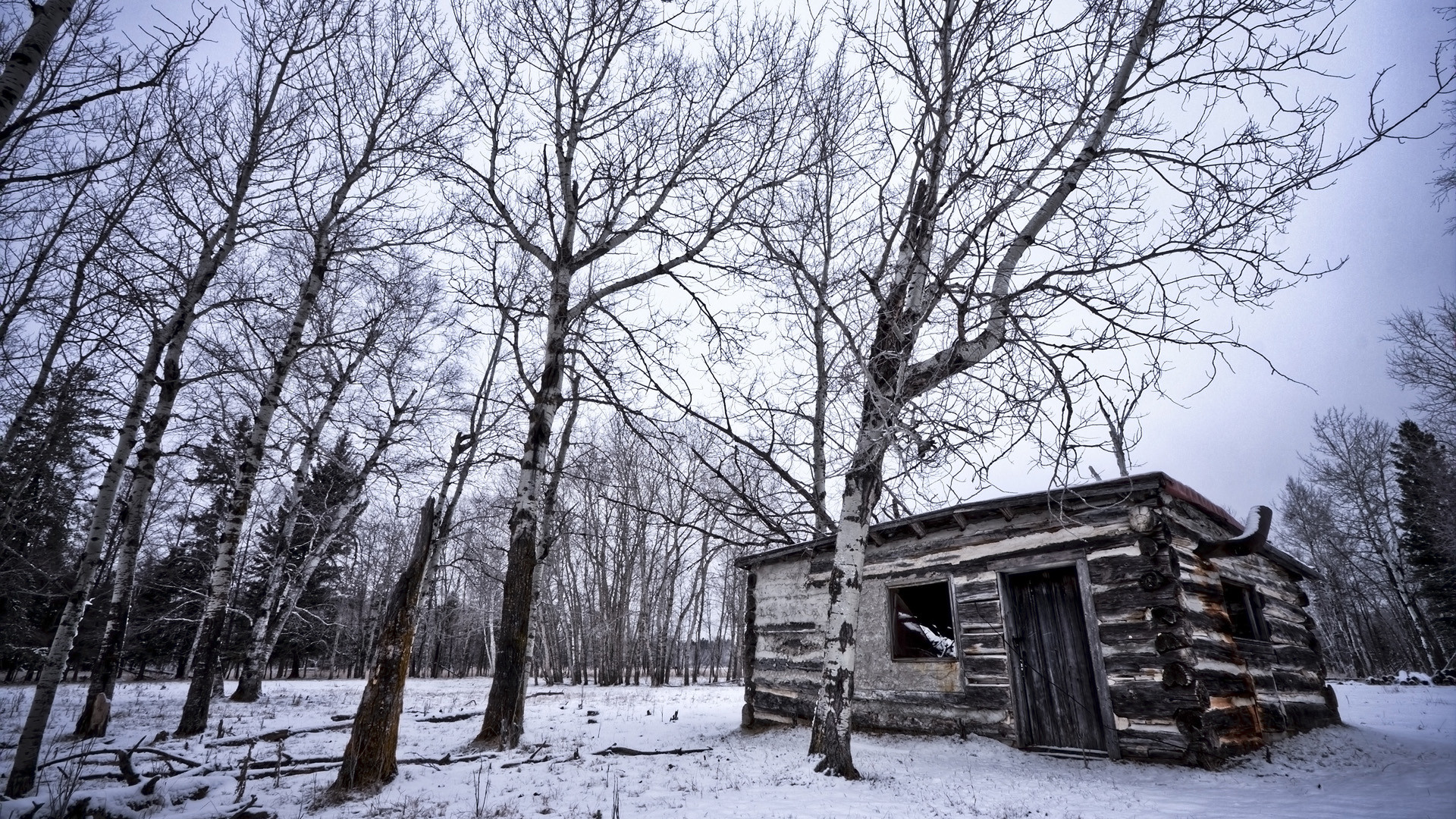Capanna di legno, Betulle, Neve, Inverno, sfondo Full HD per desktop