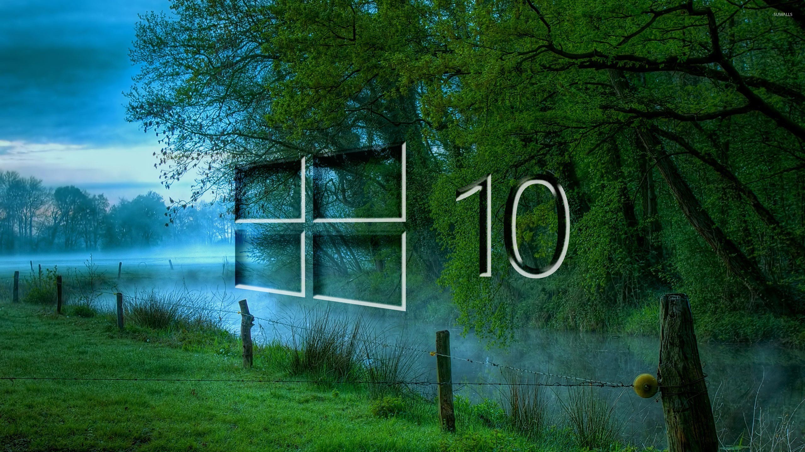 Windows 10, Logo Windows, Prato, Nebbia, Albero, 16:9 2K, sfondo widescreen