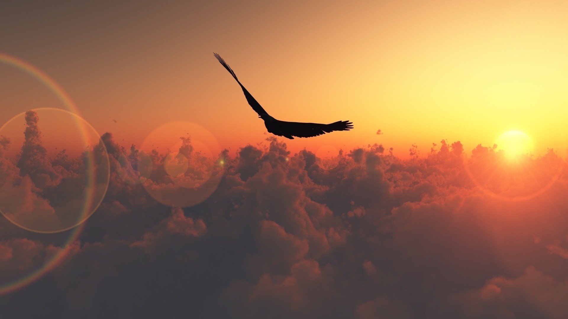 Aquila, Volo, Sopra le nuvole, Tramonto, Libertà, 1920x1080, sfondo per PC