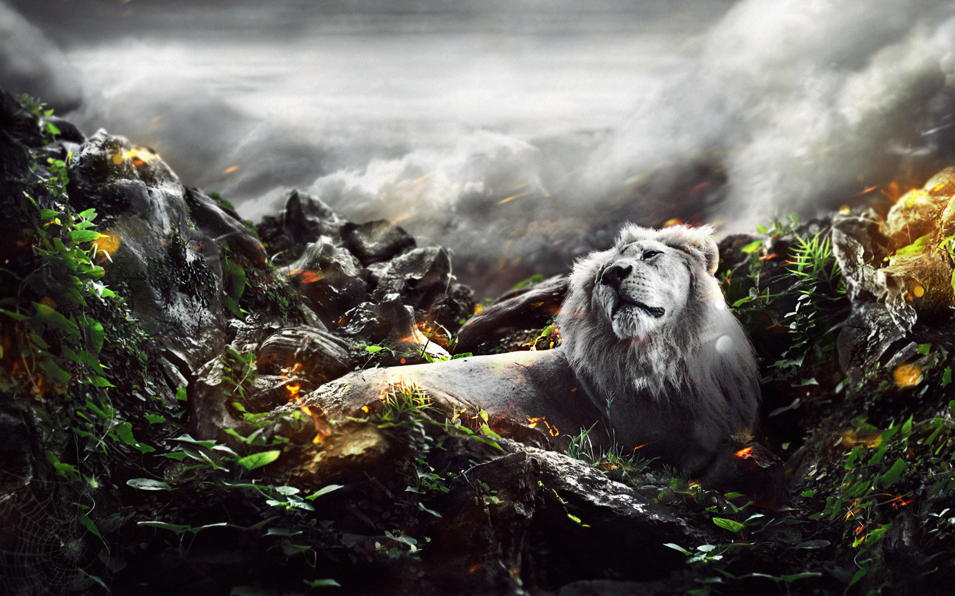 Leone bianco, Rocce, Arte digitale, Giungla, 16:10 Full HD, wallpaper widescreen