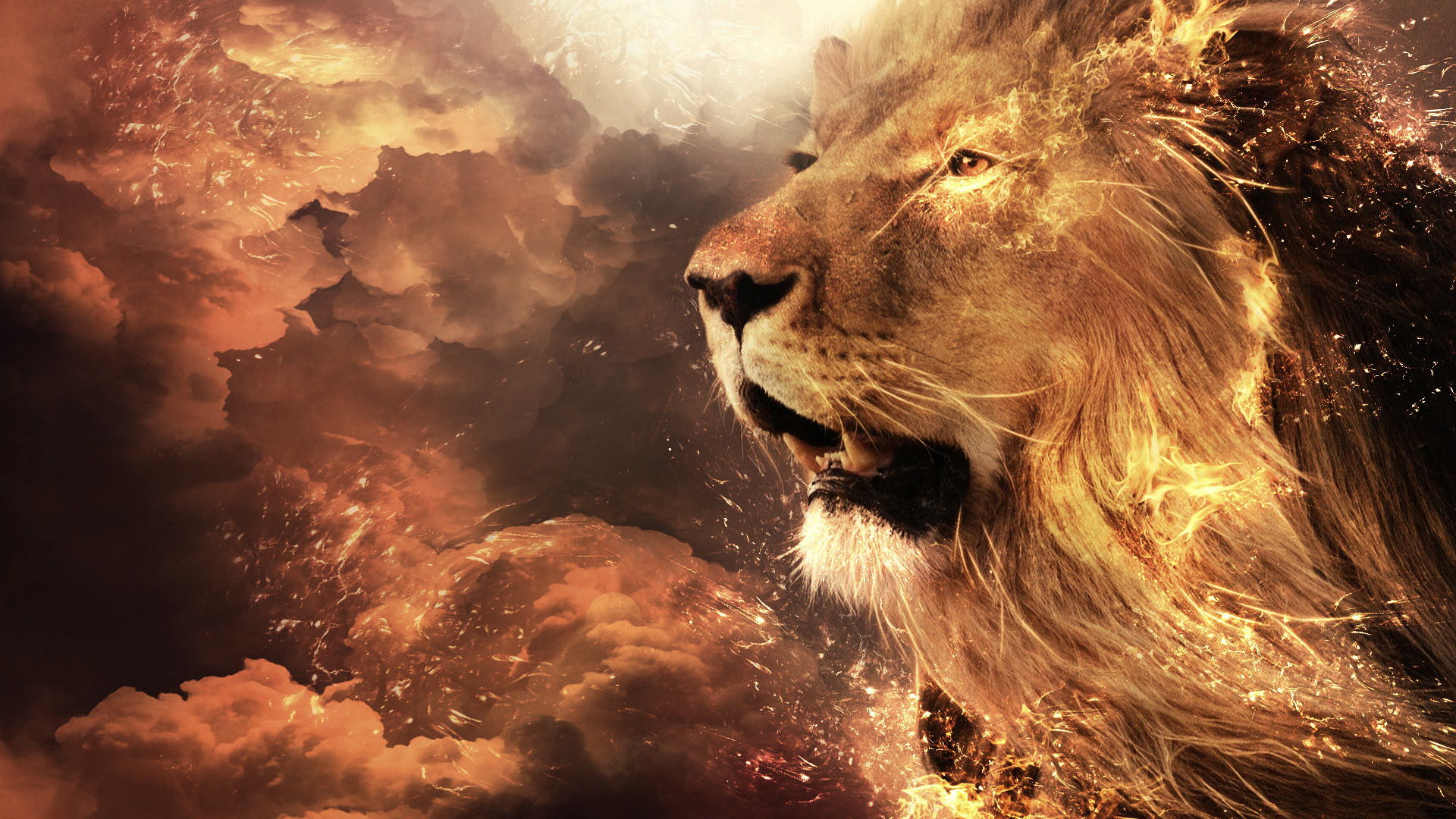 Leone, Nuvole, Arte digitale, Toni ambrati, 1920x1080, sfondo per PC