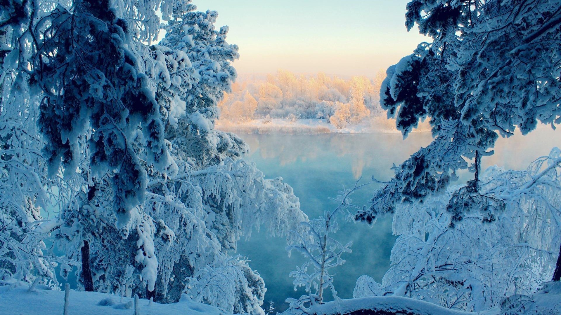 Abeti innevati, Fiume, Brina, Alba, sfondo Full HD per desktop