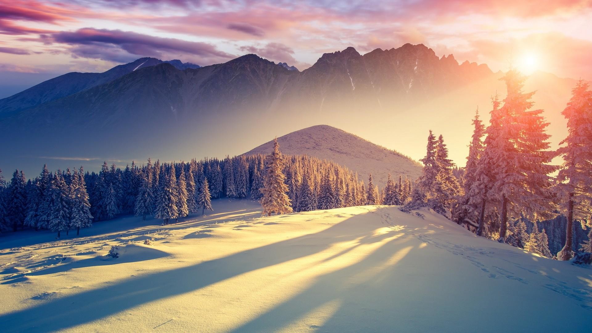 Monti Tatra, Abeti, Alba, Neve, sfondo per desktop