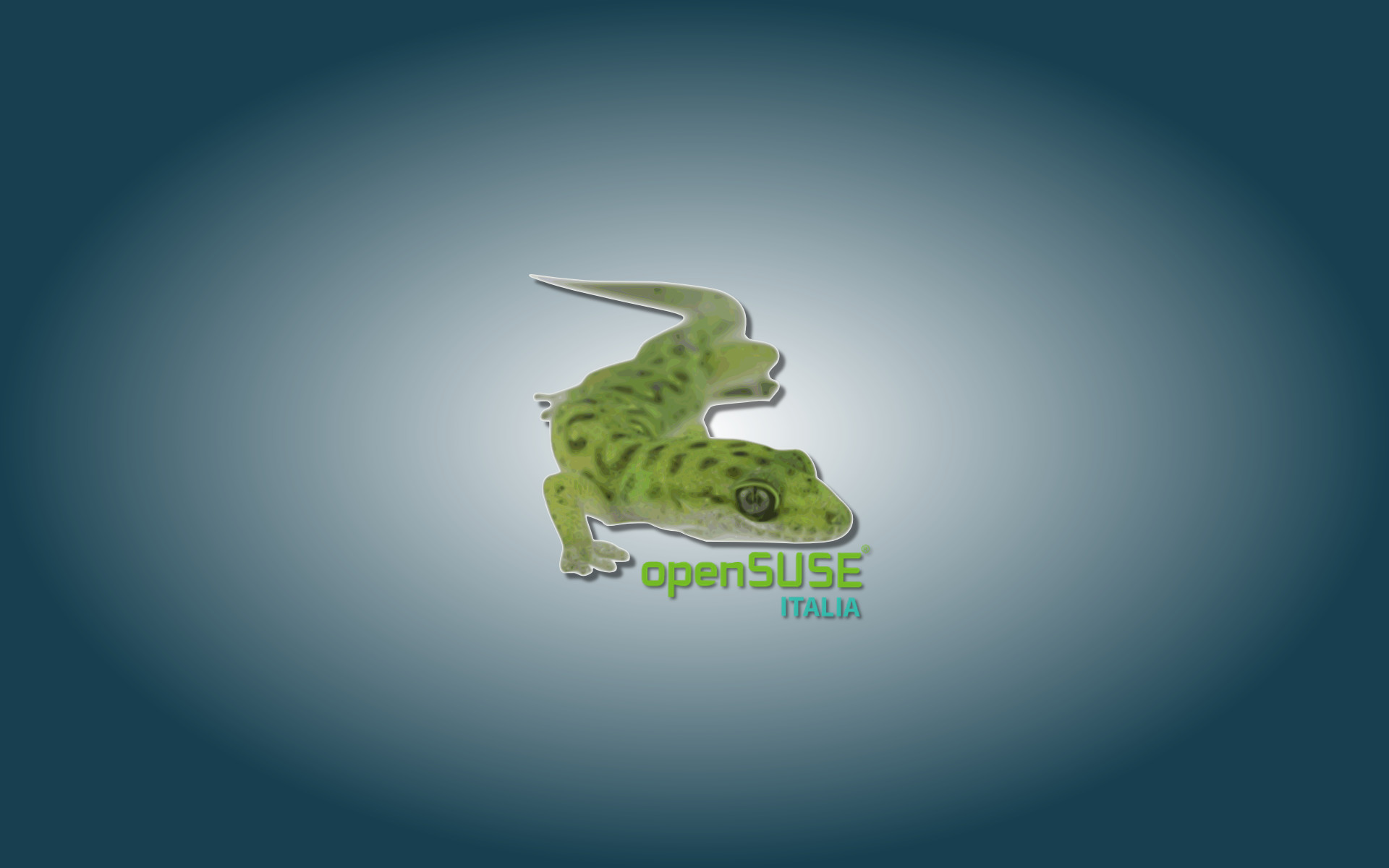 openSUSE Italia, Logo, Geeko, Sfondo blu, 16:10 Full HD, wallpaper widescreen
