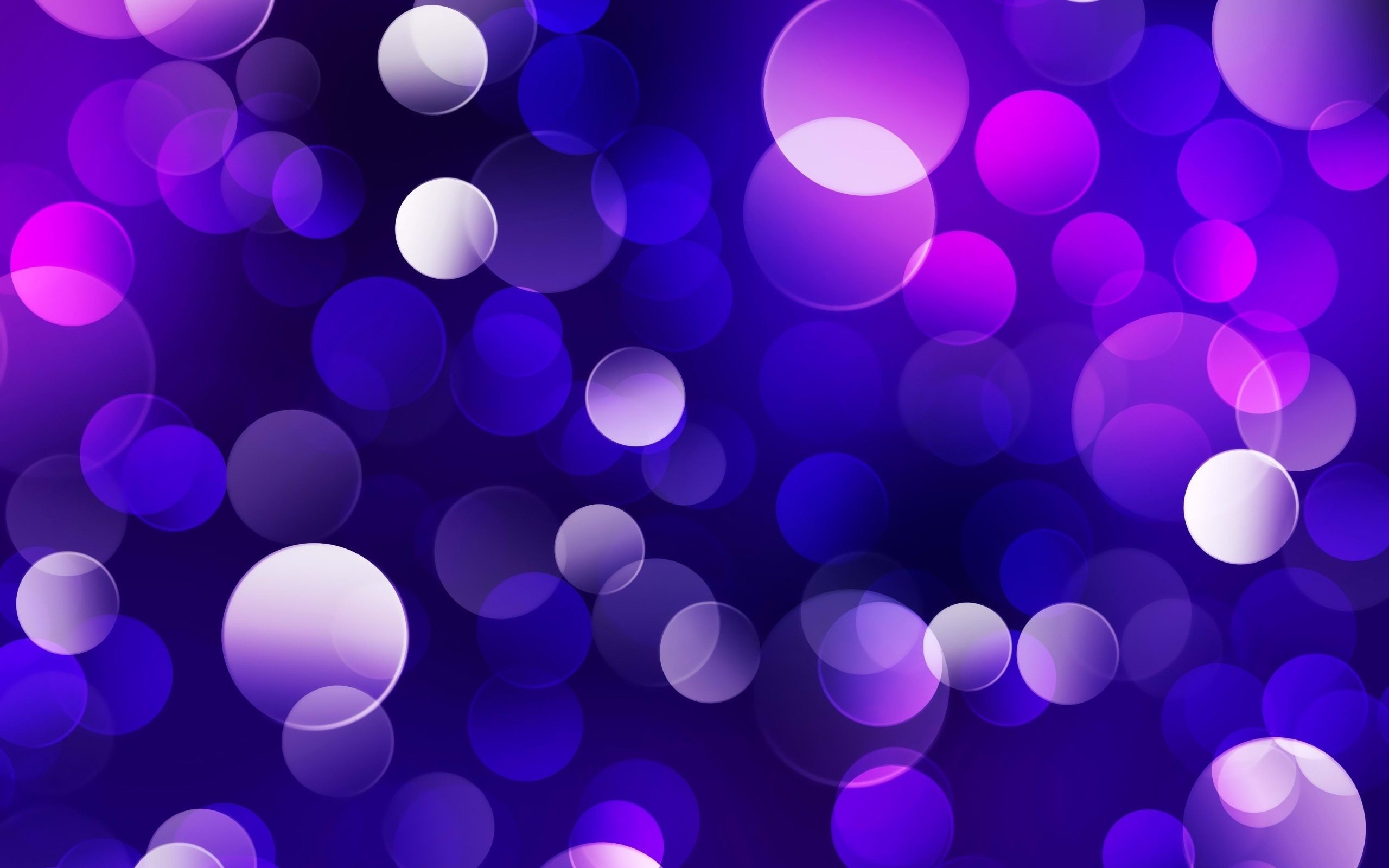 Viola, Blu, Bokeh, Cerchi, 2K 1600p, sfondo desktop