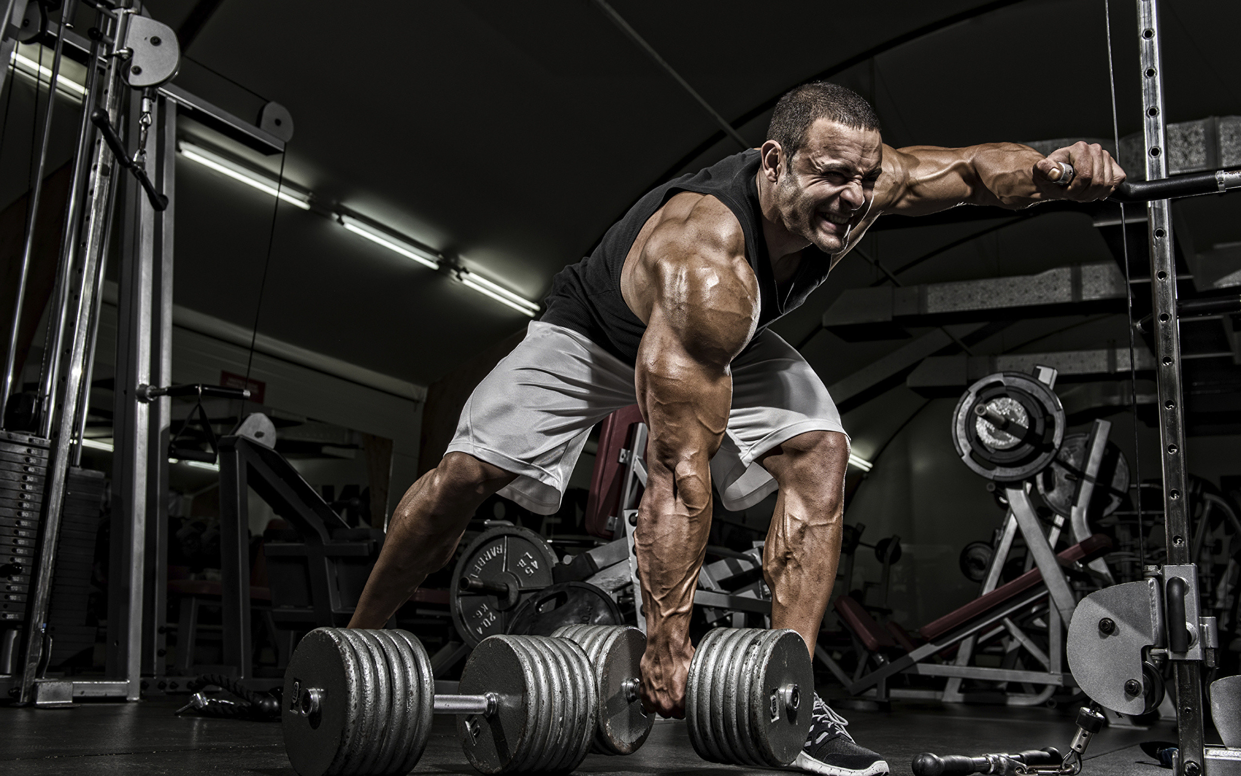 Bodybuilder, Manubri, Palestra, 2K, sfondo per portatile