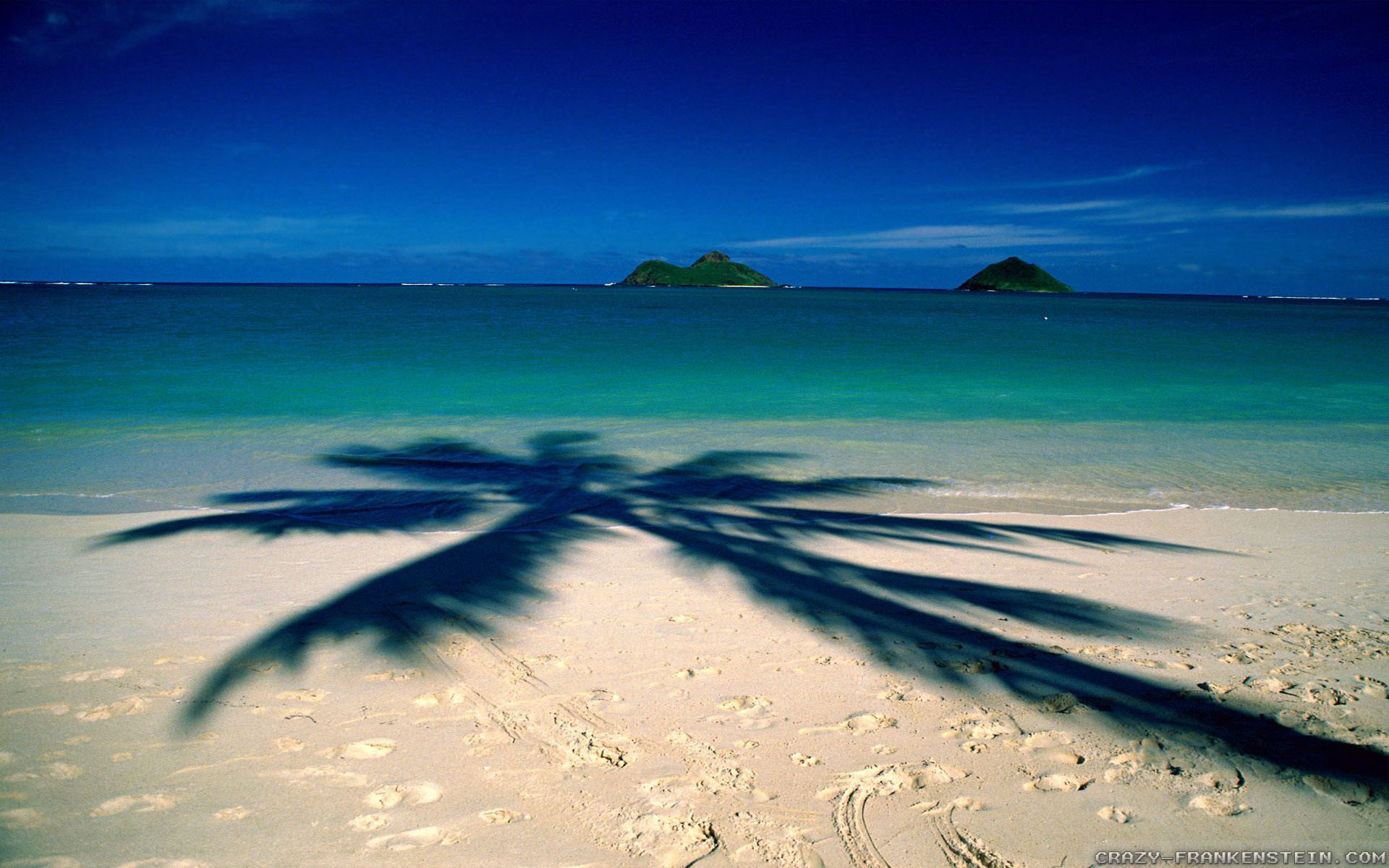 Lanikai Beach, Isole Mokulua, Oahu, Hawaii, Ombra di palma, Spiaggia tropicale, immagine di sfondo
