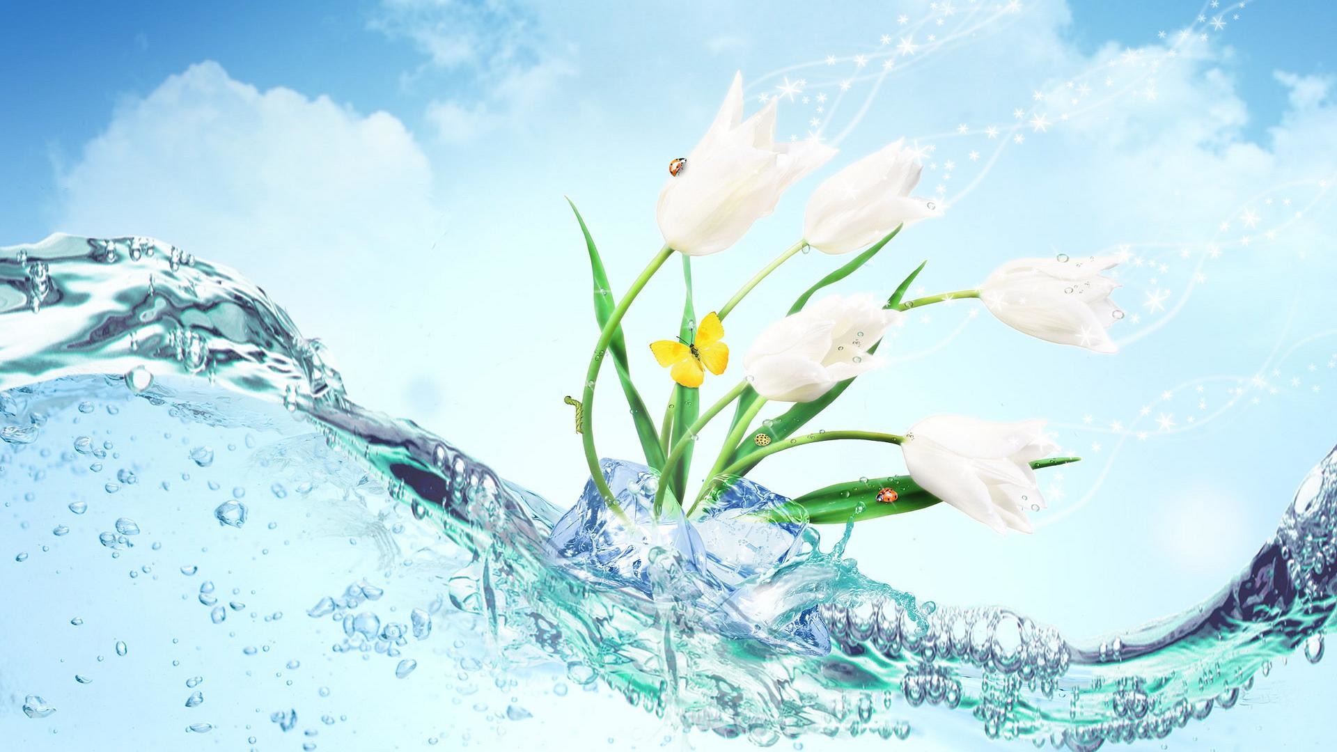 Tulipani bianchi, Onda d'acqua, Farfalla, Cielo azzurro, Arte digitale, sfondo per portatile