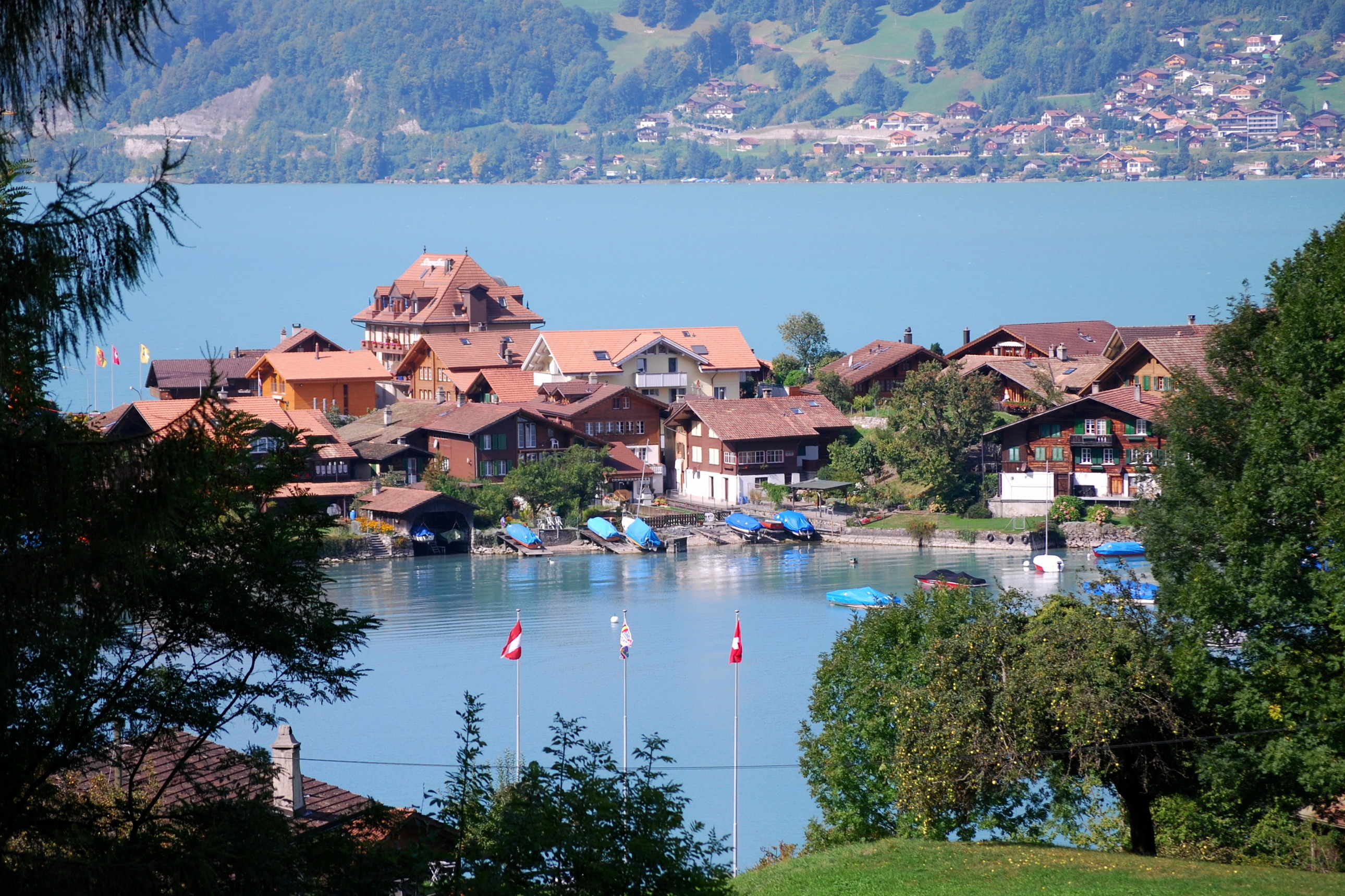 Villaggio sul lago, Svizzera, Lago, Estate, 2K, wallpaper PC