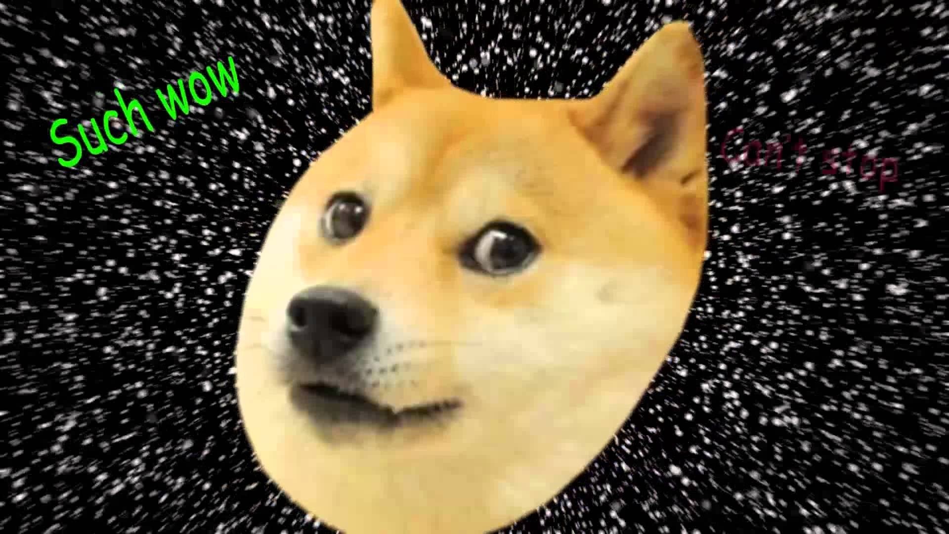 Doge, Such wow, Stelle, Meme, 1920x1080, immagine di sfondo