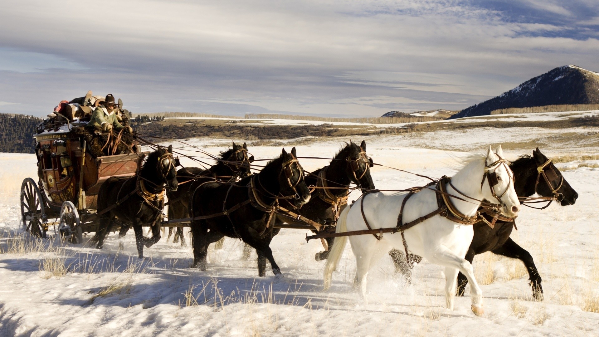 The Hateful Eight, Diligenza, Cavalli, Neve, Montagne, Full HD, sfondo Windows 11