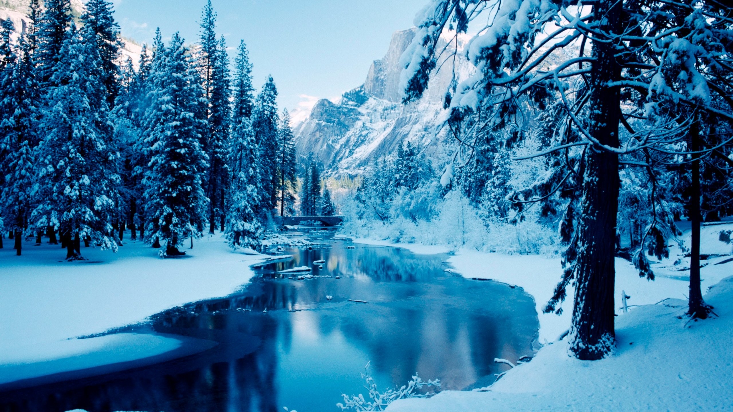 Yosemite, Fiume, Neve, Inverno, Pini, 2K, immagine di sfondo iMac