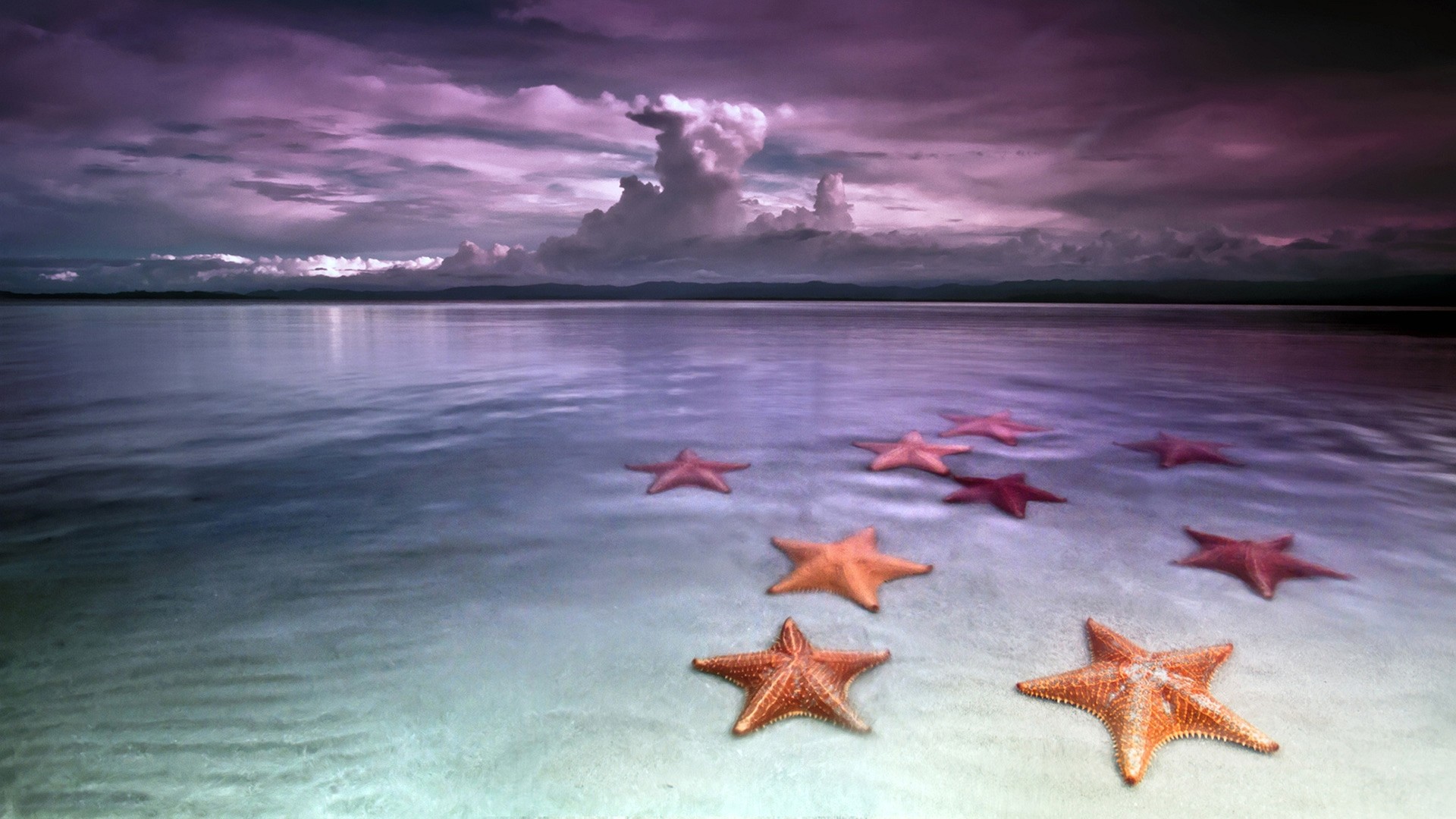 Stelle marine, Spiaggia, Acqua bassa, Nuvole, Full HD, wallpaper desktop