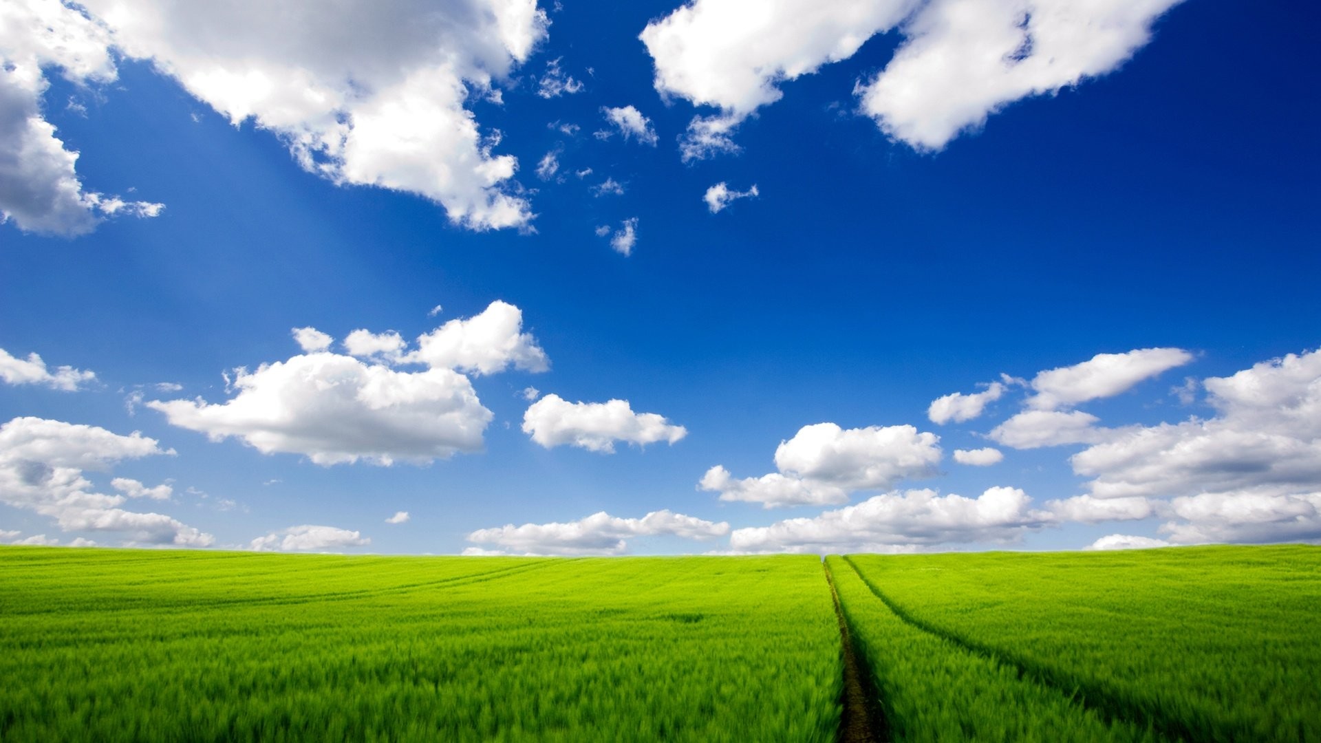 Windows XP, Prato, Cielo azzurro, Nuvole, 1920x1080, sfondo per PC