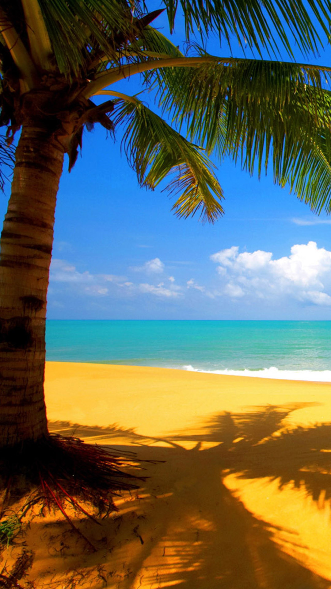 Palma, Spiaggia, Mare, Tropicale, Full HD, schermata di blocco Samsung S5