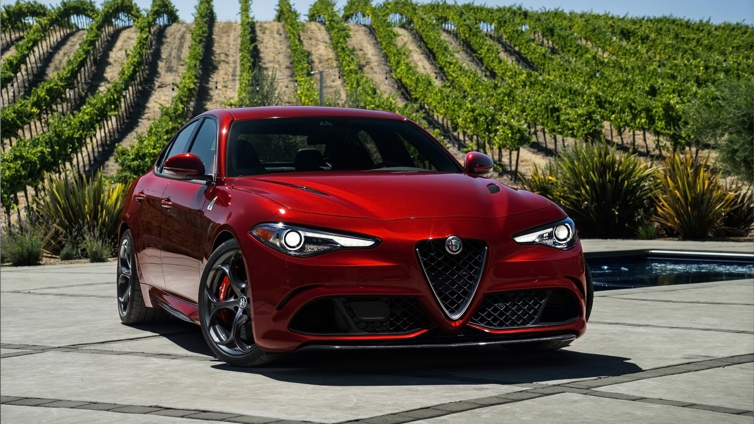 Alfa Romeo Giulia Quadrifoglio, Alfa Romeo, Vigneto, Rosso, 2K, wallpaper per portatile