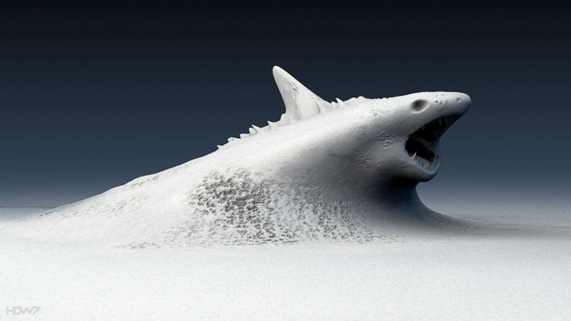 Squalo, Scultura, 3D, Bianco, Surreale, Full HD, sfondo per PC e portatile