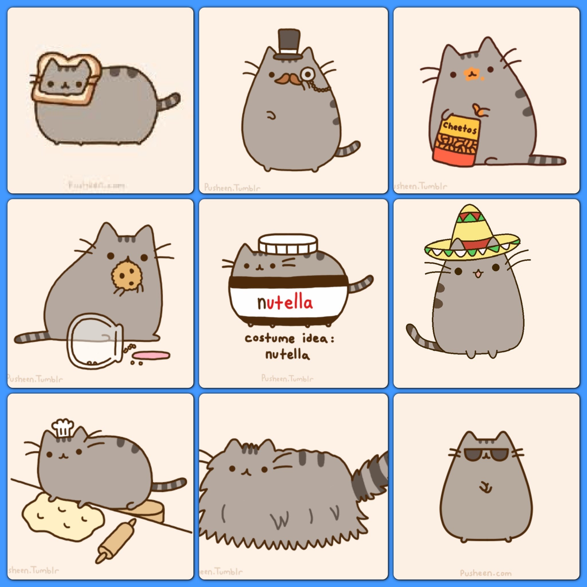 Pusheen, Collage, Nutella, Costumi, Full HD, sfondo per iPad e tablet