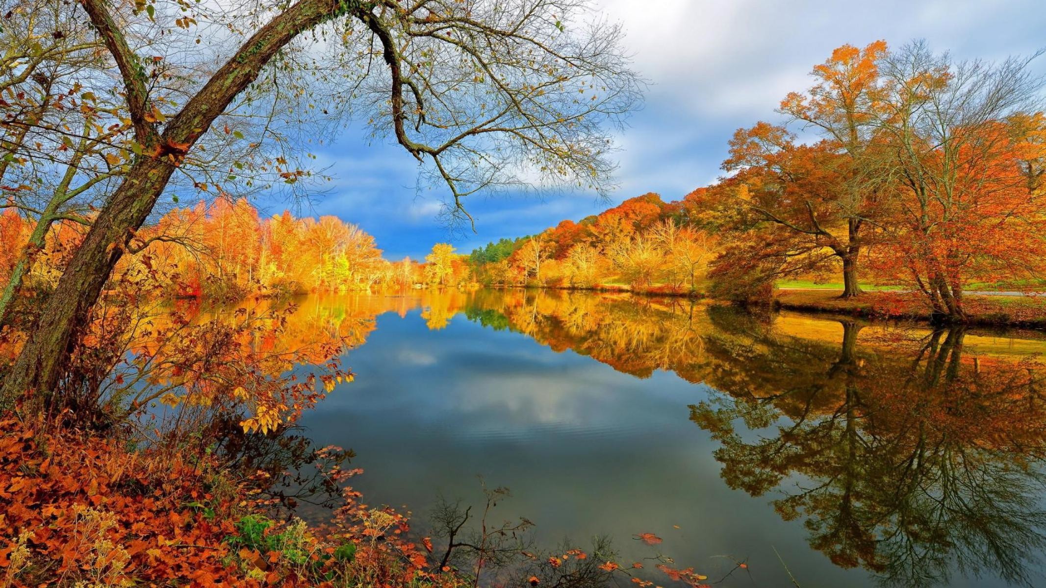Lago, Autunno, Alberi, Riflesso, sfondo desktop