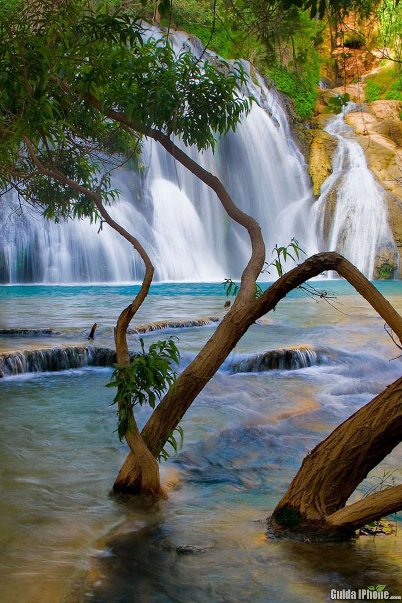 Cascata, Alberi, Acqua turchese, Natura, Full HD, sfondo iPhone