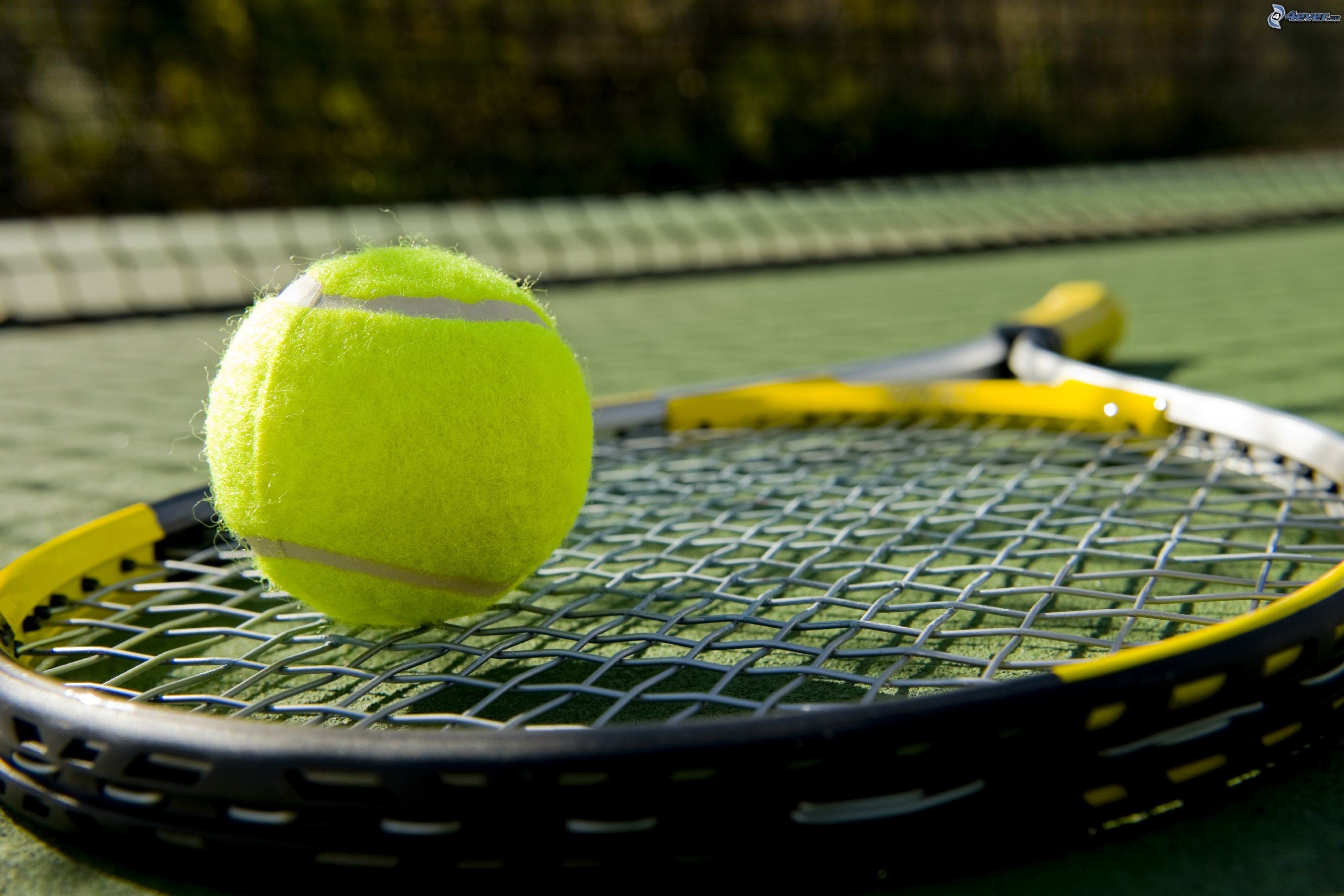 Pallina da tennis, Racchetta, Campo, Primo piano, 2K, sfondo per PC e portatile