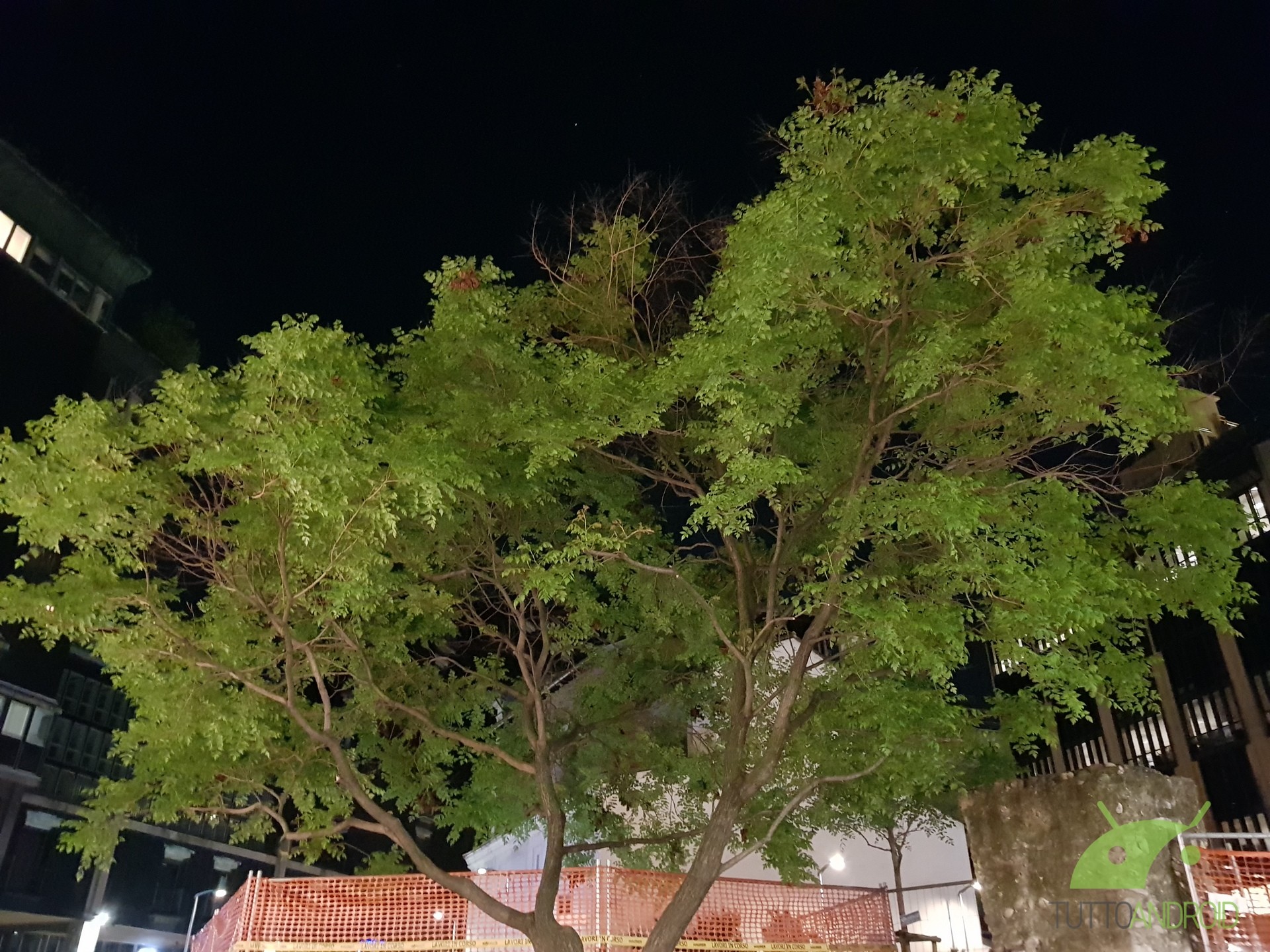 Albero, Notte, Full HD, sfondo per iPad e tablet