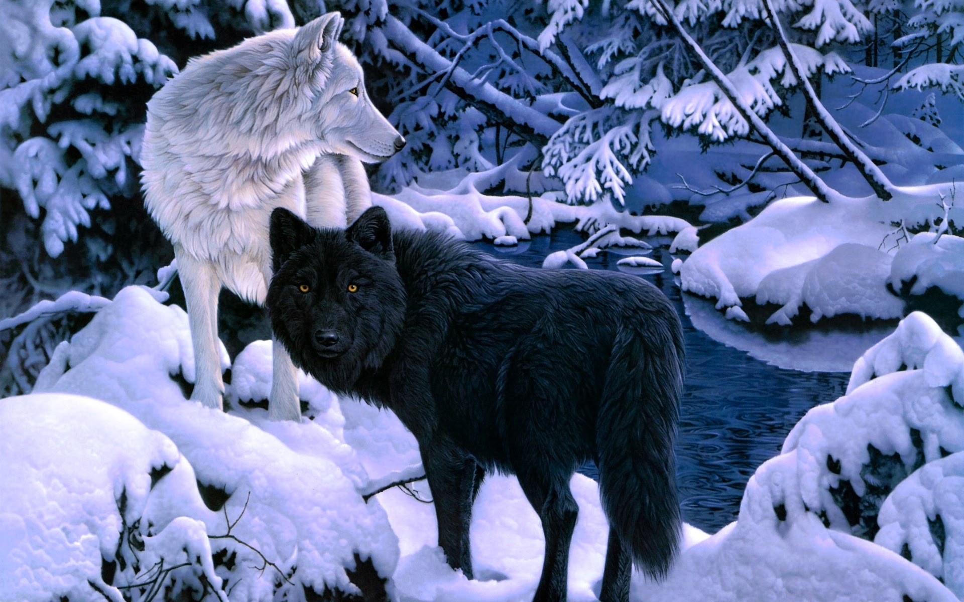 Lupo bianco, Lupo nero, Neve, Inverno, 1920x1200, sfondo per PC