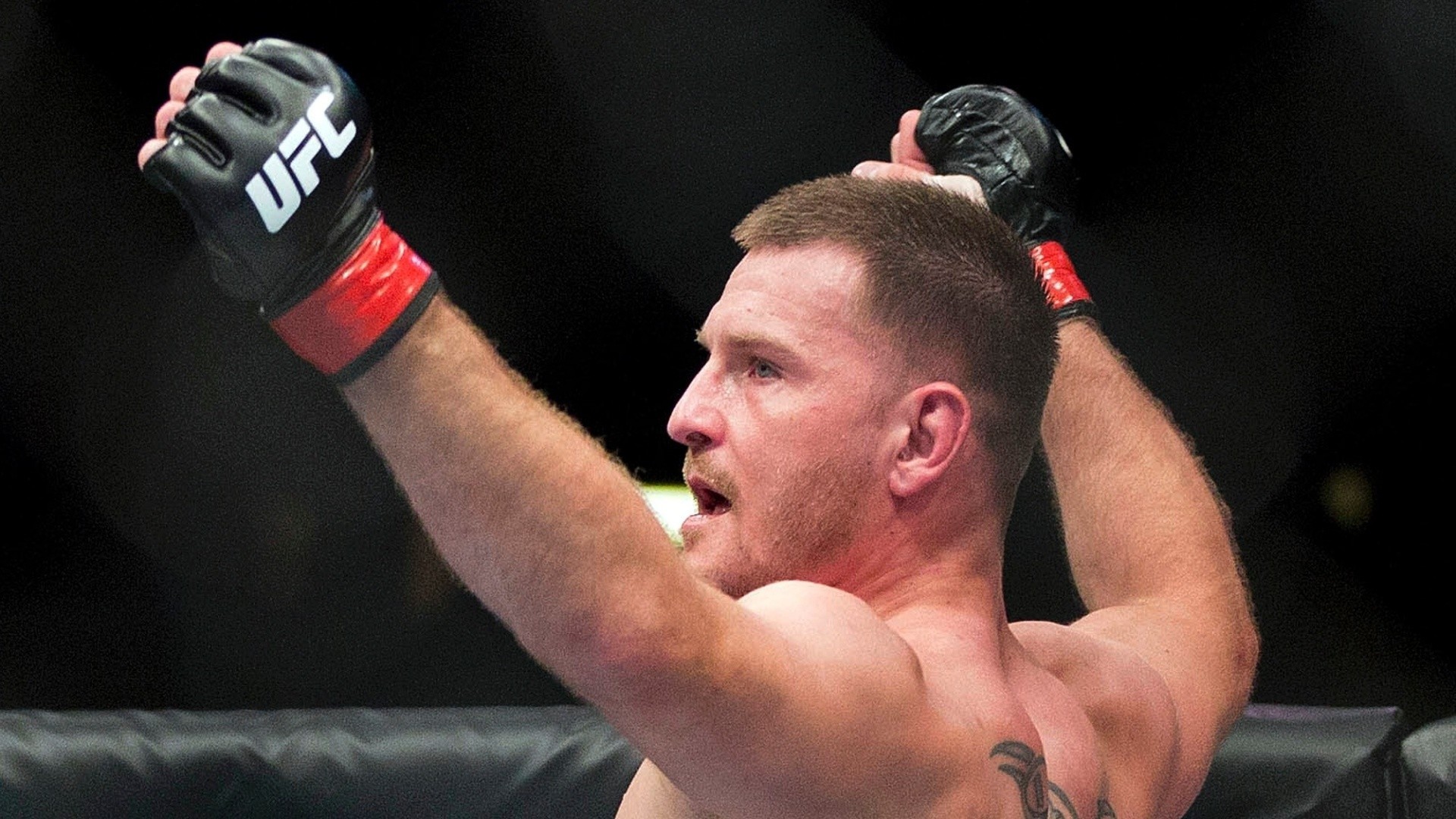 Stipe Miocic, UFC, Vittoria, Guanti MMA, 1920x1080, sfondo per PC