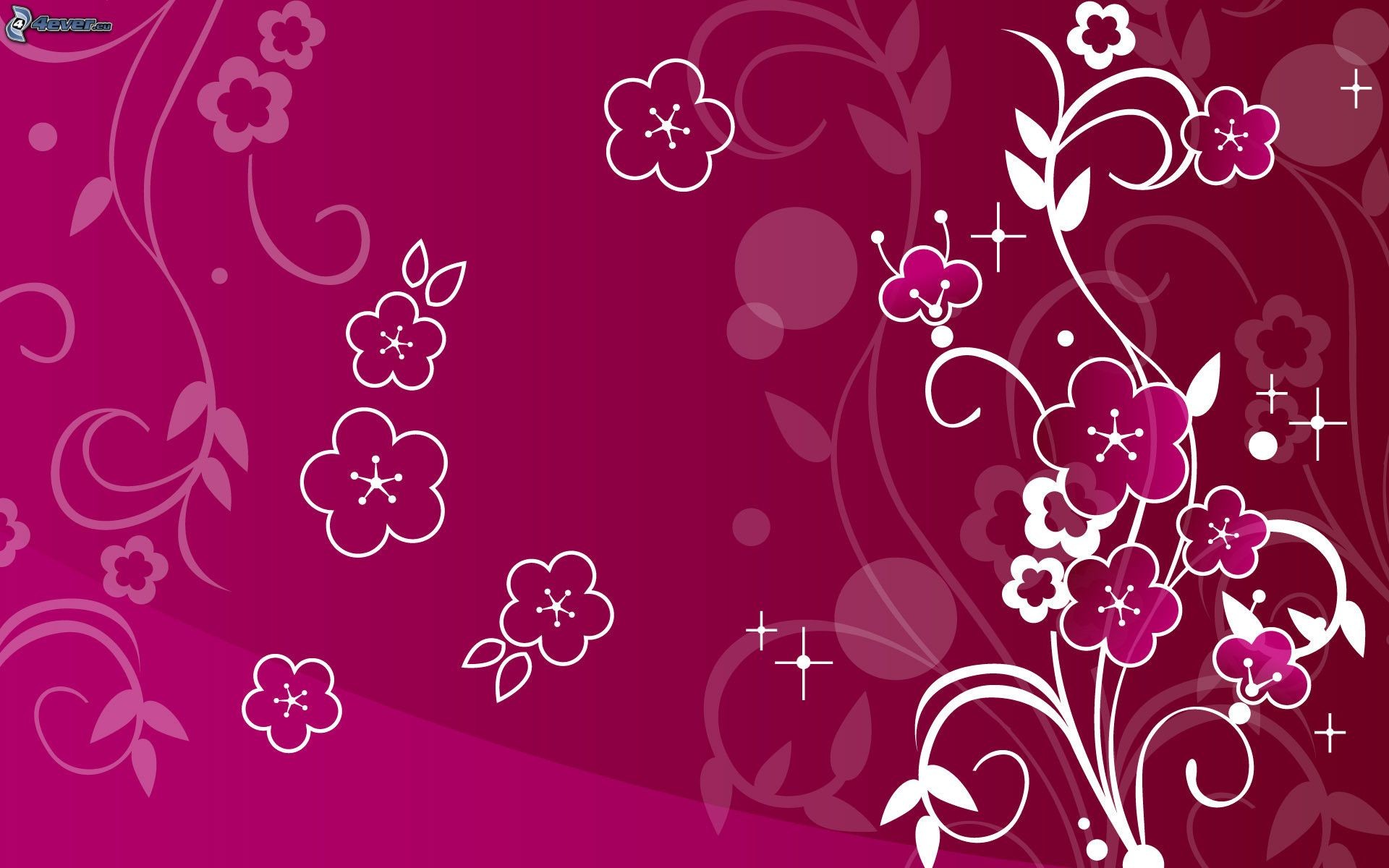 Fiori stilizzati, Magenta, Ornamenti floreali, 1920x1200, sfondo per PC