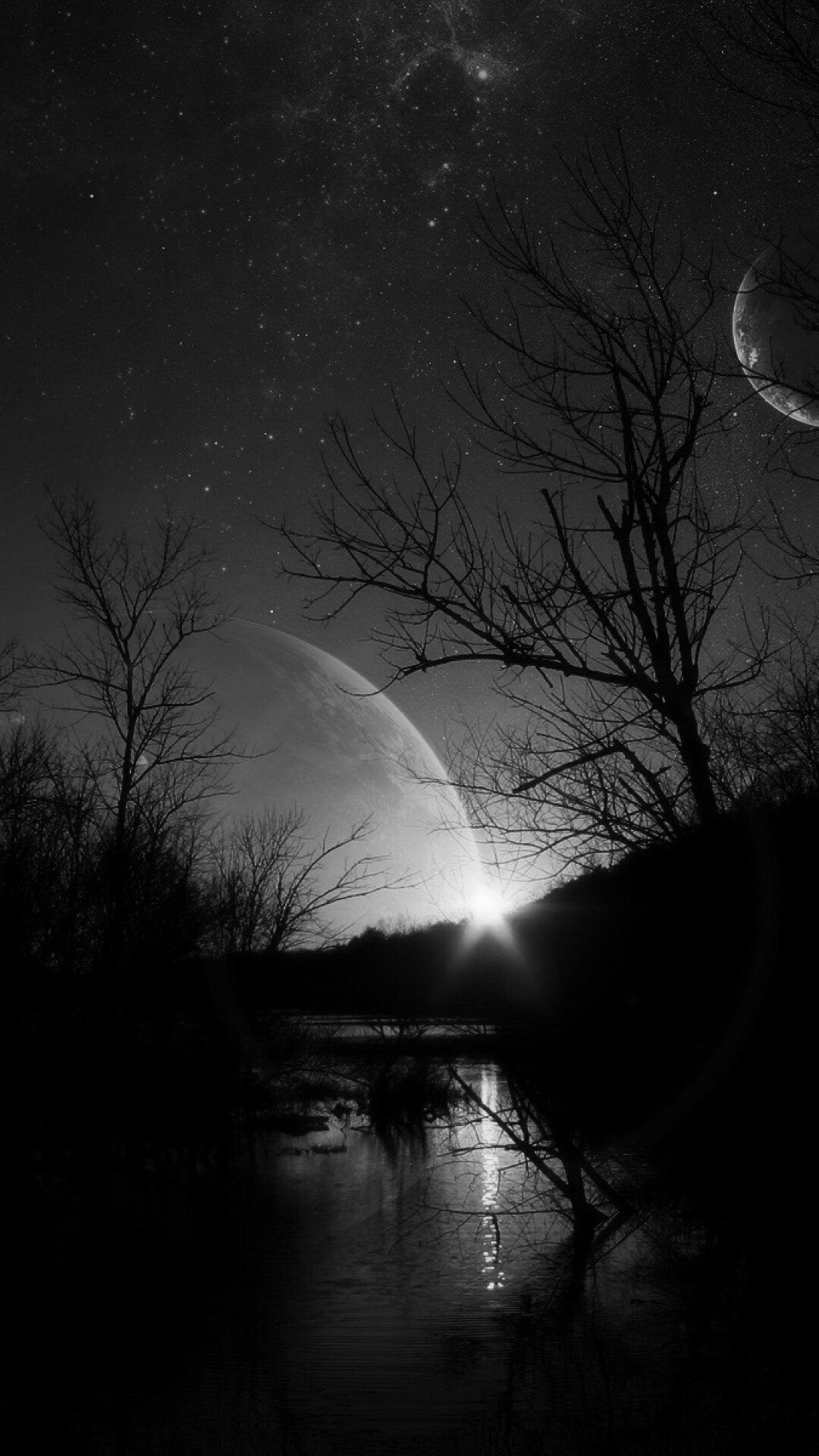 Luna, Alberi spogli, Bianco e nero, Notte, Full HD, sfondo per smartphone
