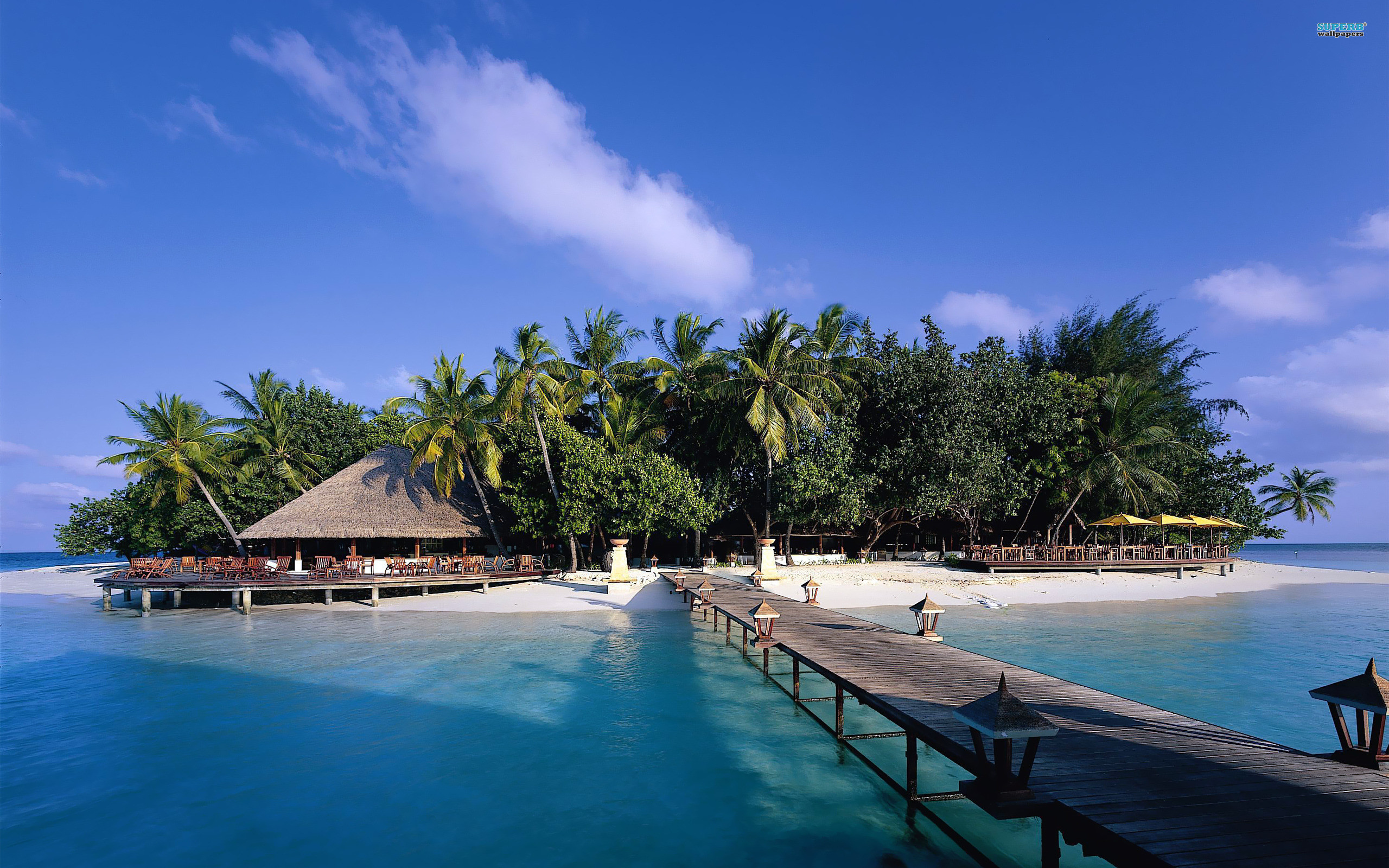 Maldive, Isola tropicale, Palme, Pontile, Mare turchese, 2560x1600, sfondo per PC