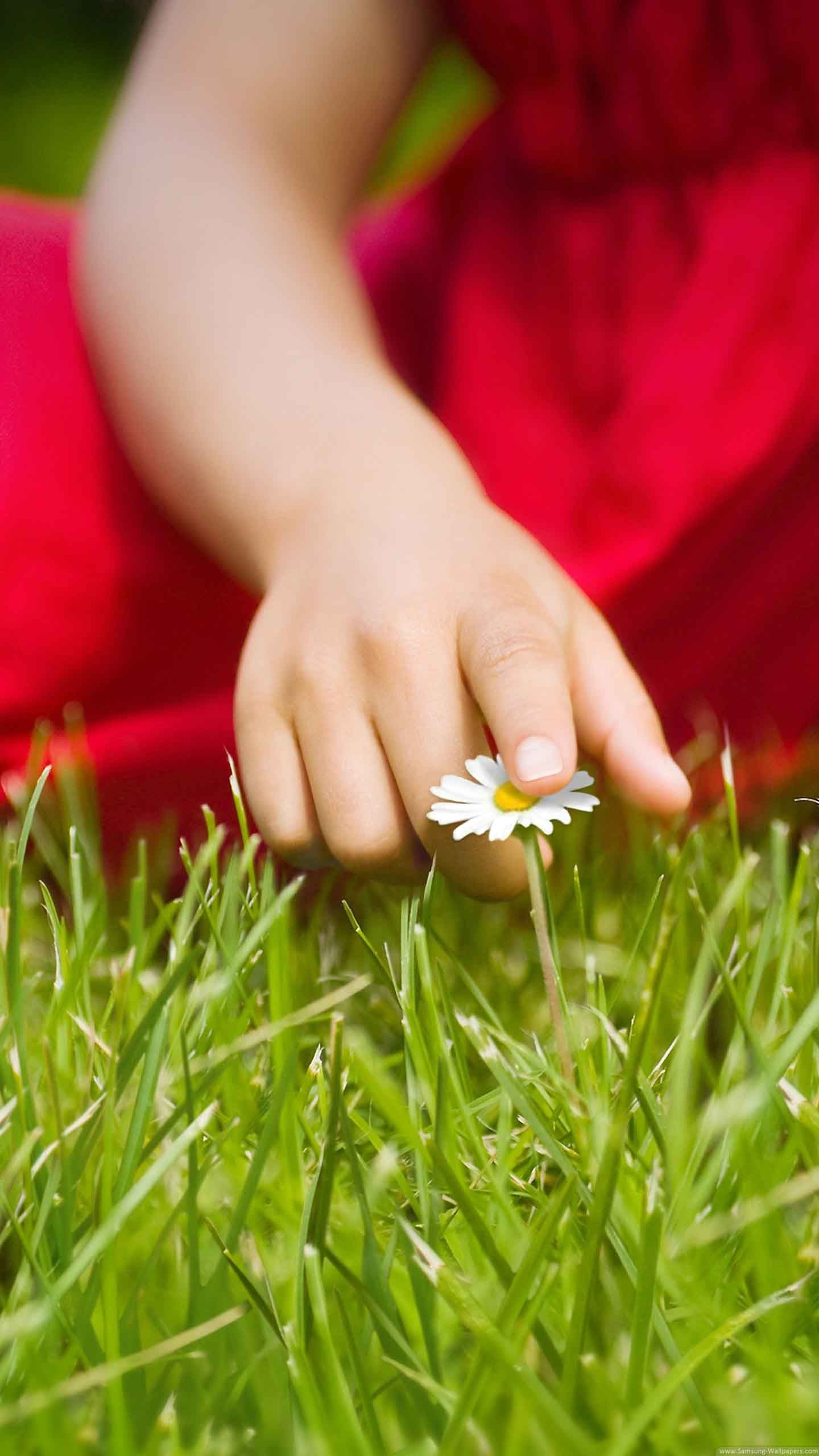 Mano di bambino, Margherita, Erba, QHD+, sfondo LG G2