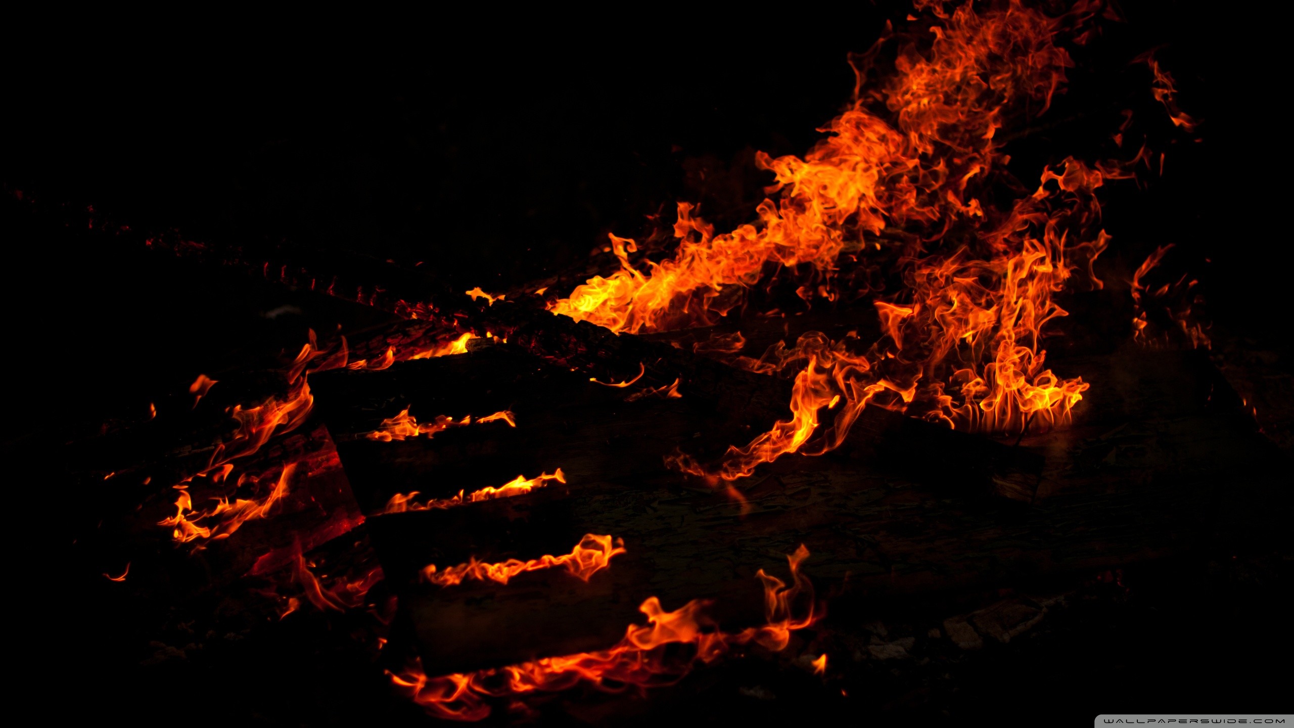 Mano di fuoco, Fiamme, Sfondo nero, 2560x1440, wallpaper desktop