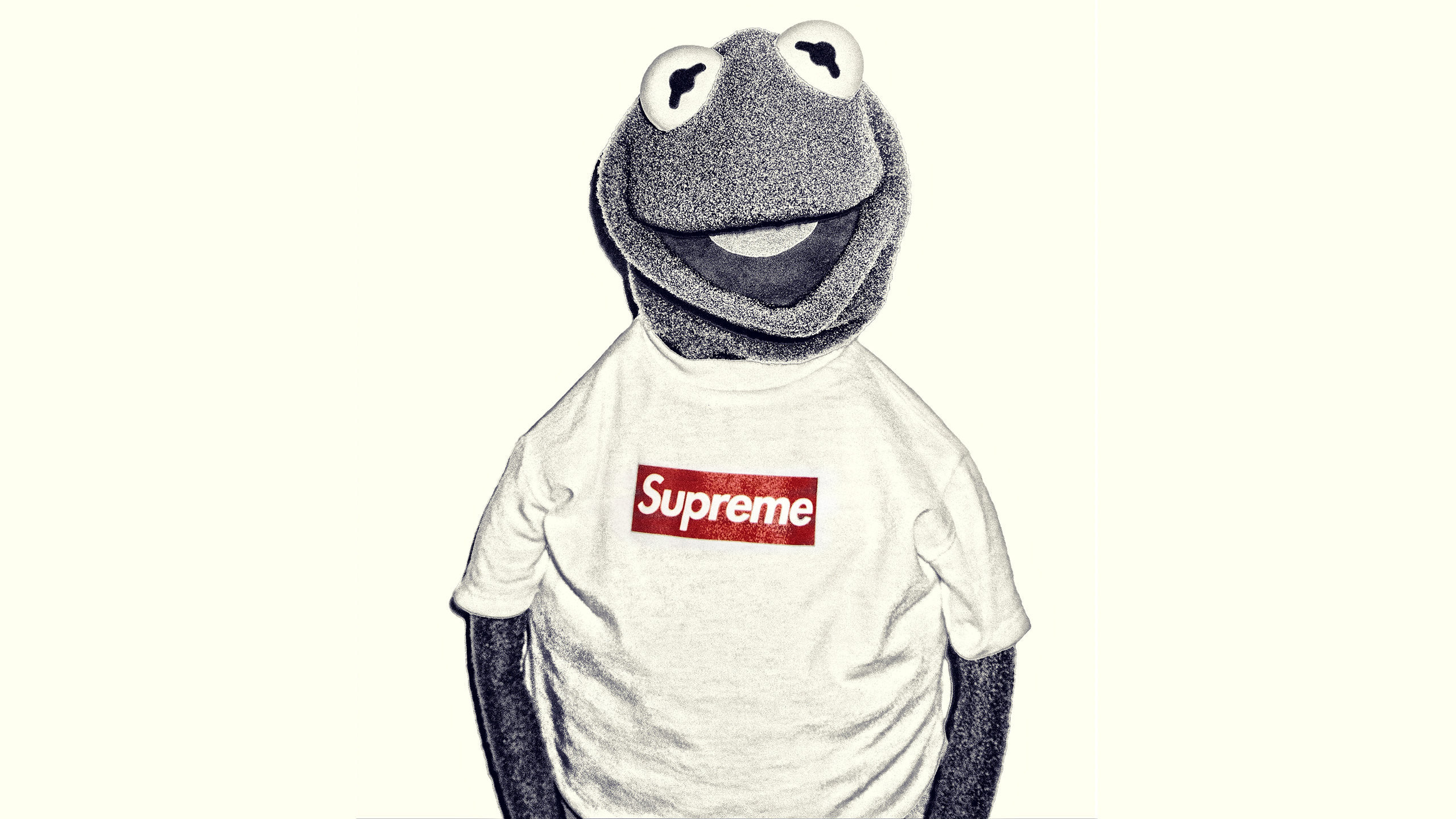 Kermit la Rana, Supreme, Maglietta, Box logo, 2K, sfondo Windows 11