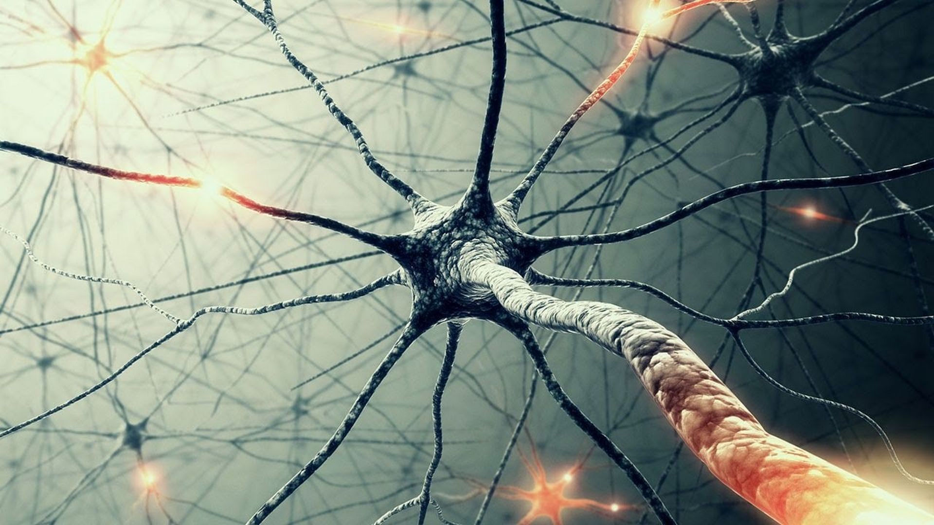 Neurone, Sinapsi, Scienza, 1920x1080, immagine di sfondo