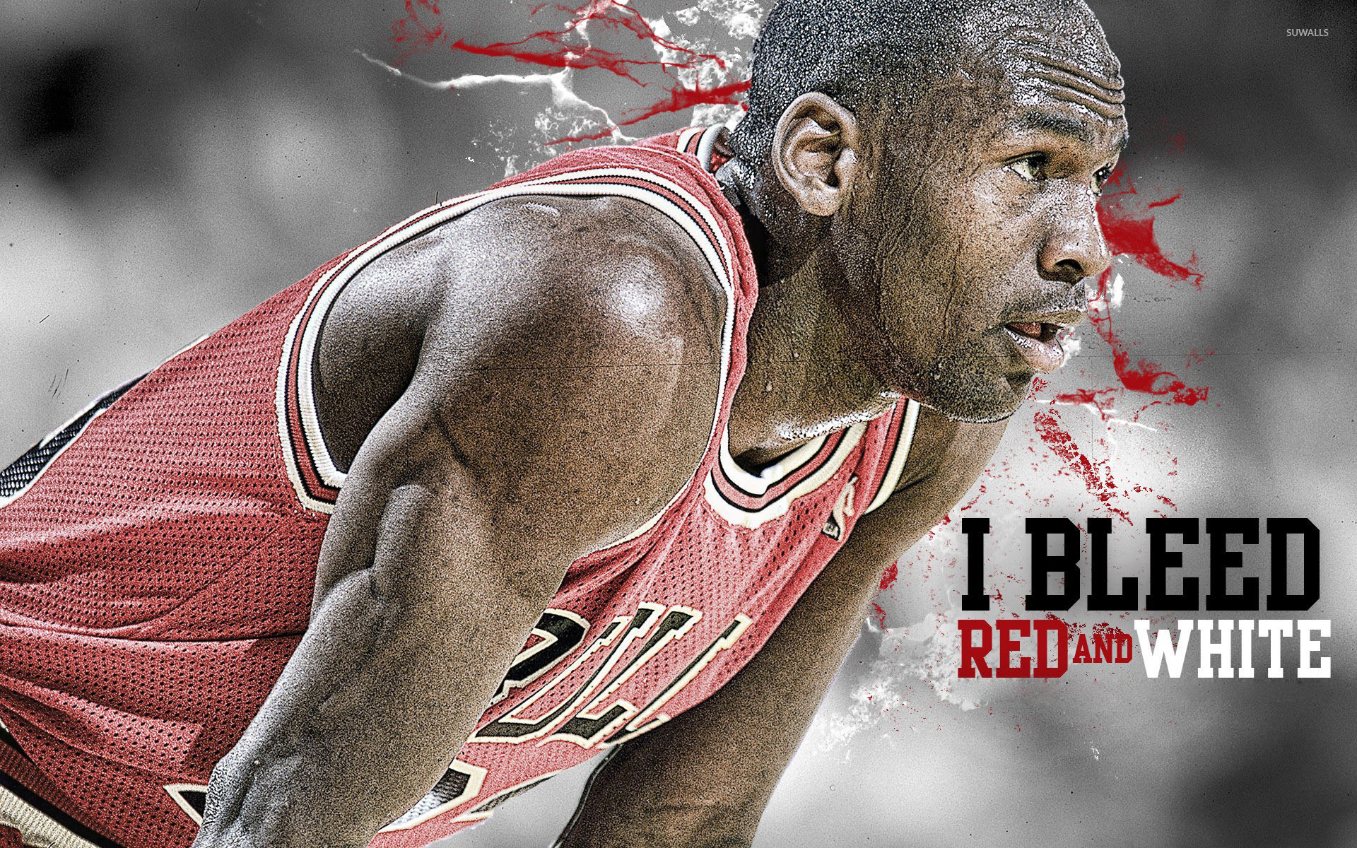 Michael Jordan, Chicago Bulls, I Bleed Red and White, Primo piano, sfondo Full HD per PC