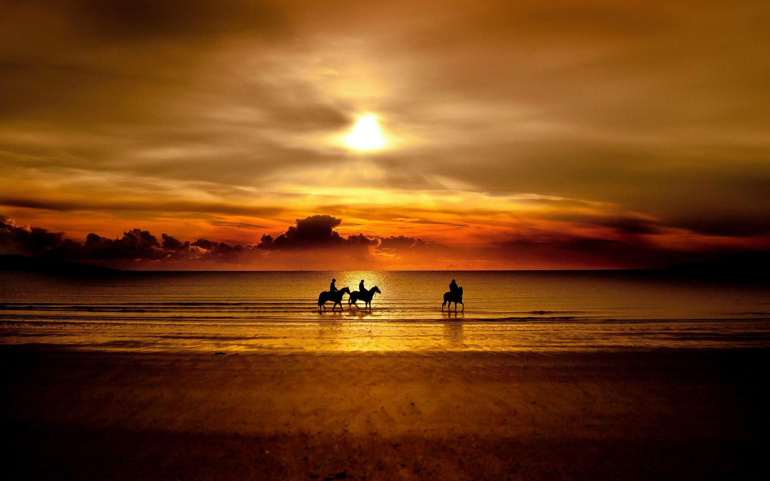 Cavalieri, Cavalli, Spiaggia, Tramonto, Silhouette, 2K, sfondo per PC