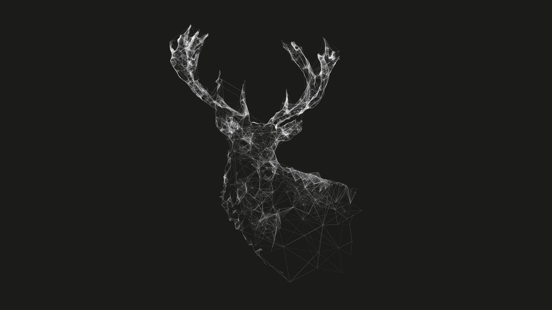 Cervo, Low poly, Wireframe, Sfondo nero, 1920x1080, wallpaper desktop