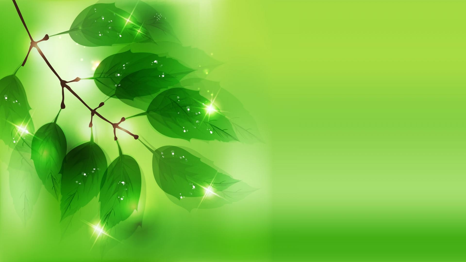 Foglie, Rami, Scintille, Verde chiaro, Full HD, sfondo per PC e portatile